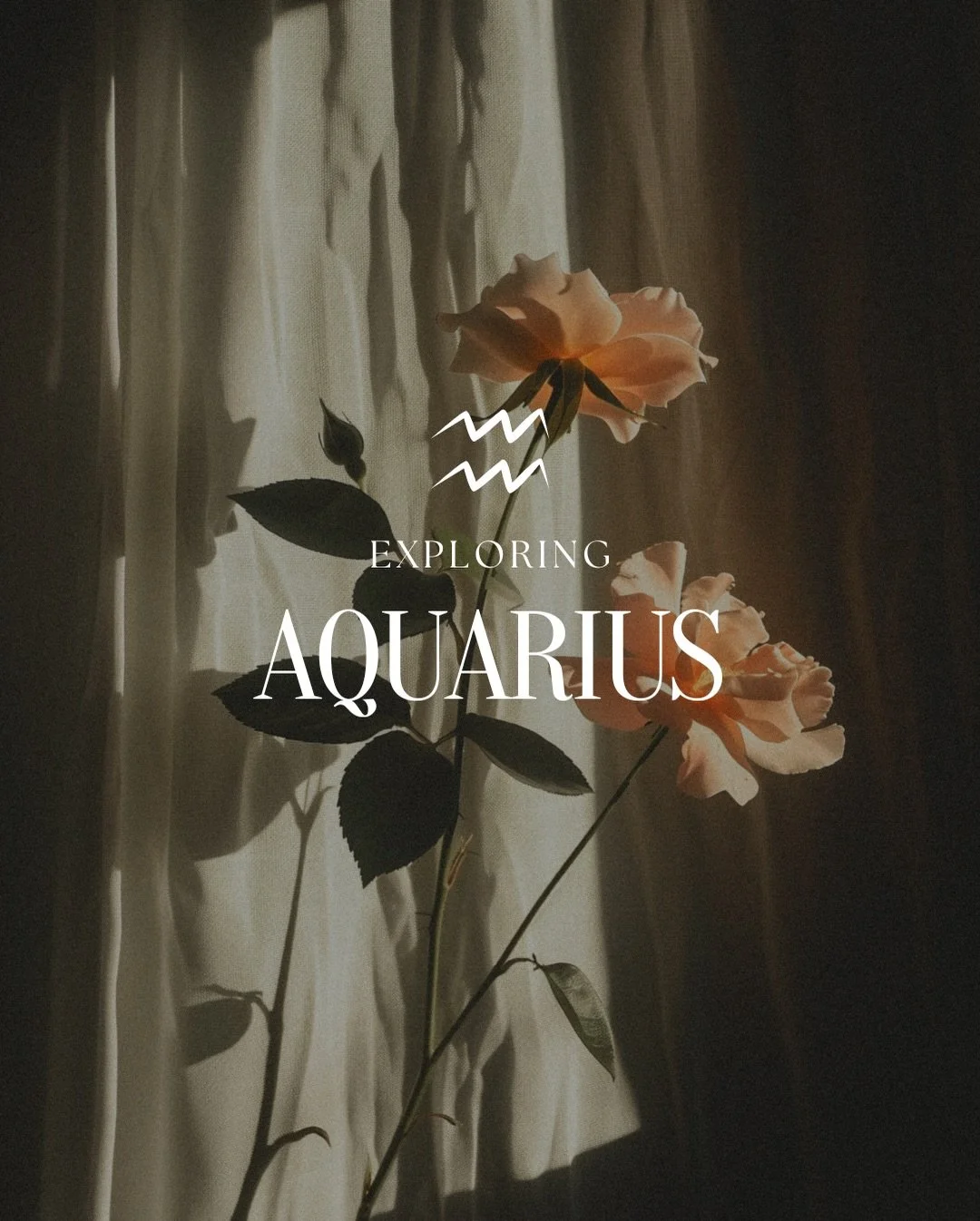 The sun is in Aquarius until 18/19 February (US/Aus). Keep it quirky until then!

#lunamysteryschool #aquarius #aquariusseason #astrology