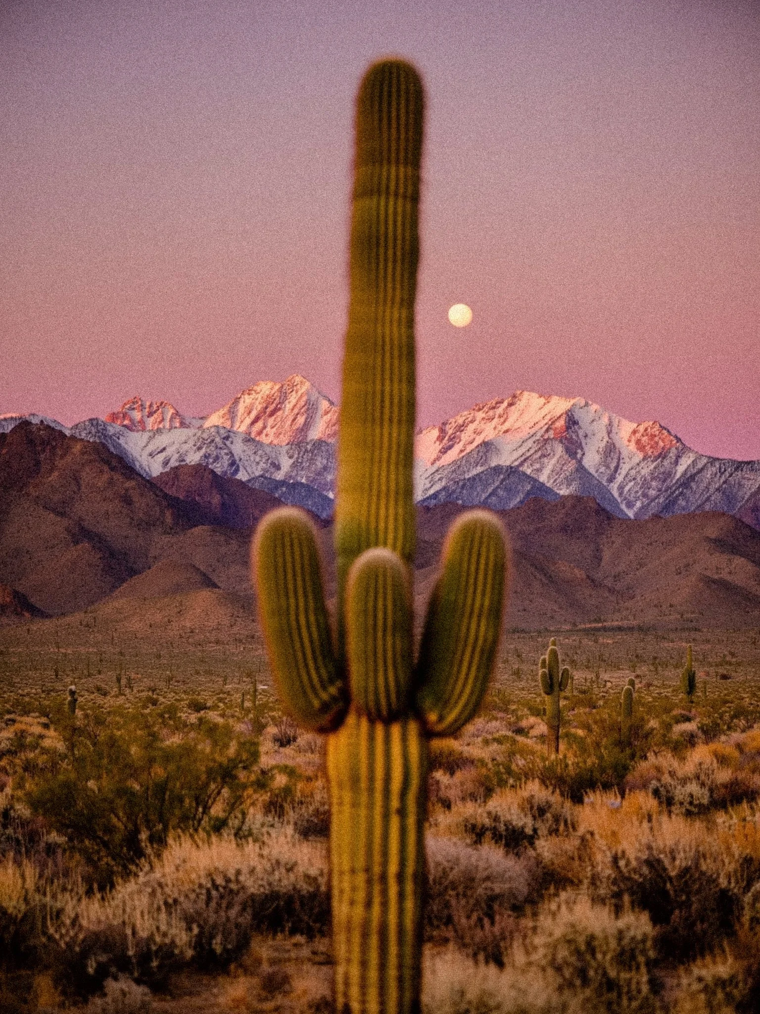 What Your Moon Sign Means in Astrology