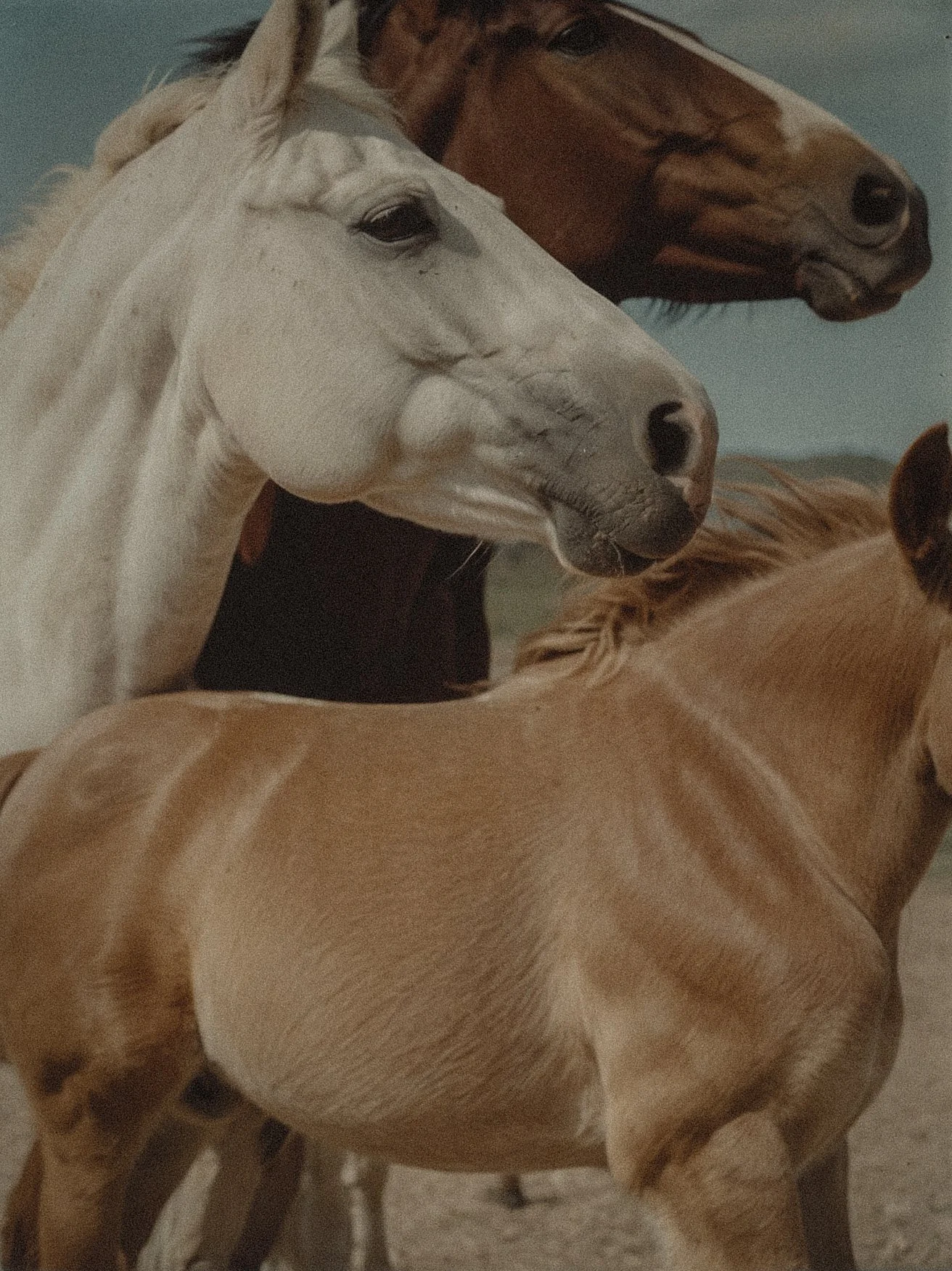 Exploring Aries Zodiac Sign