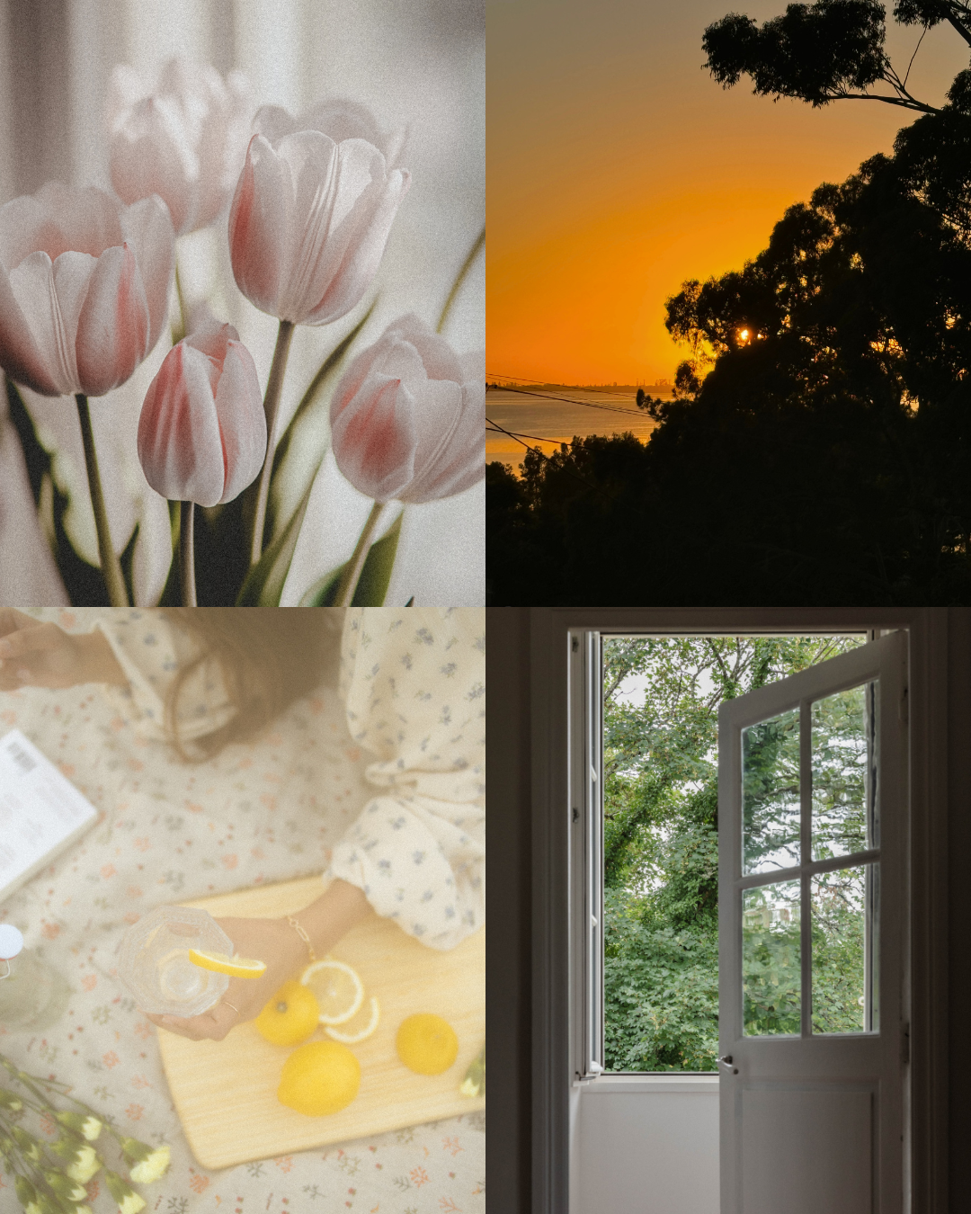 Seasonal Living in Spring Guide
