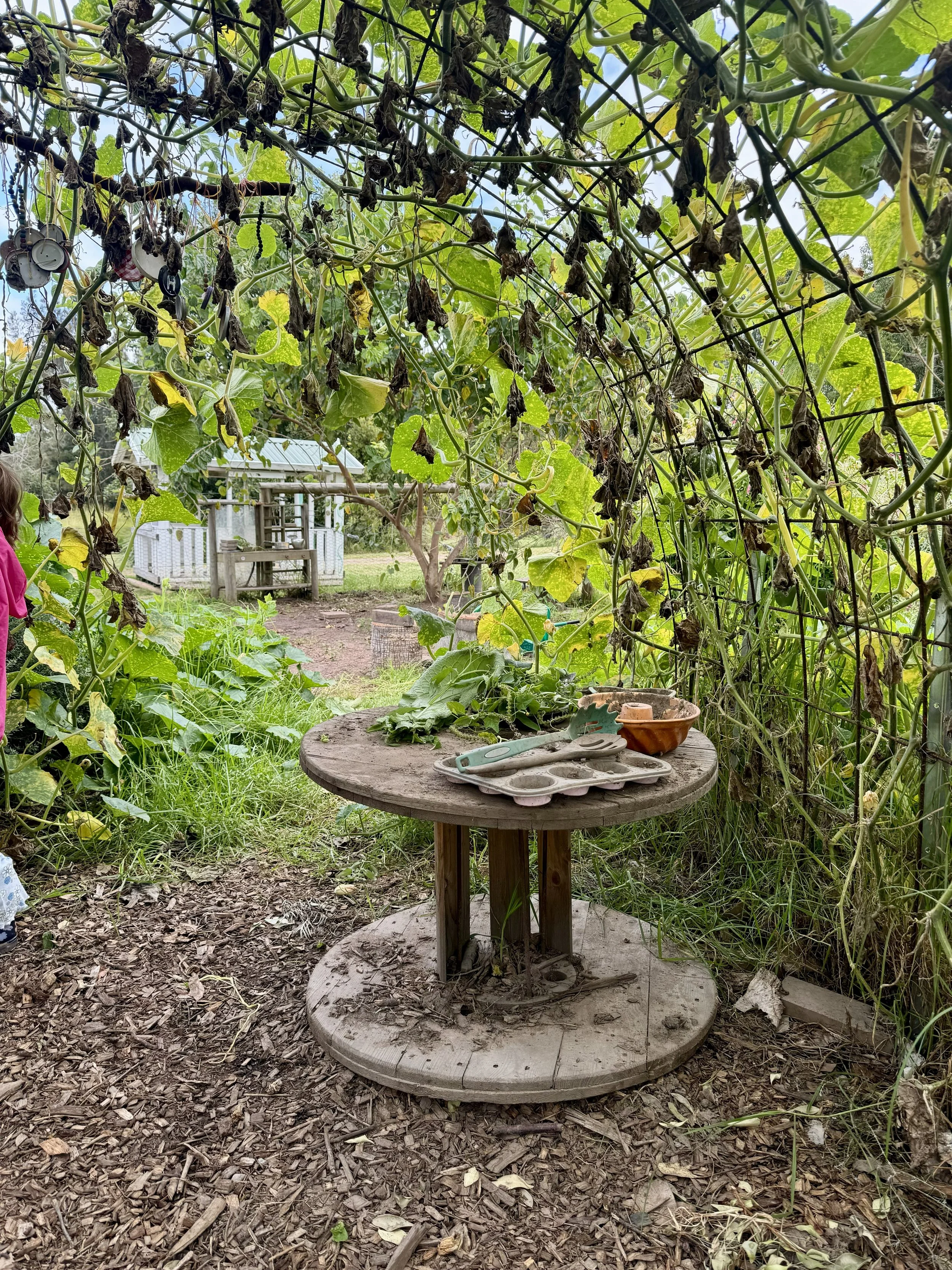 6 Simple Ways to Stay Connected to Nature’s Cycles