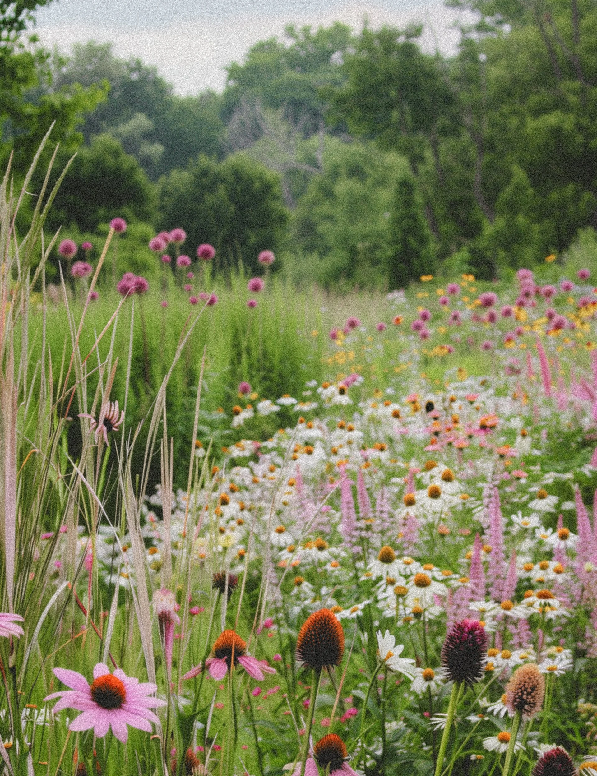 Slow and seasonal living, homemaking and cottagecore blog