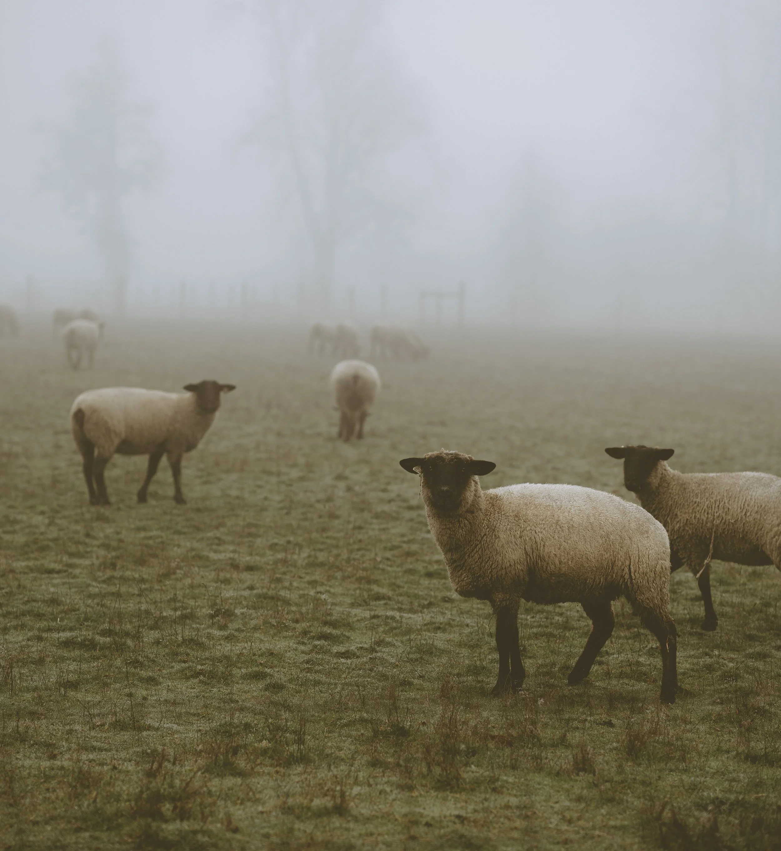 exploring-the-ernergy-of-earth-sign-capricorn