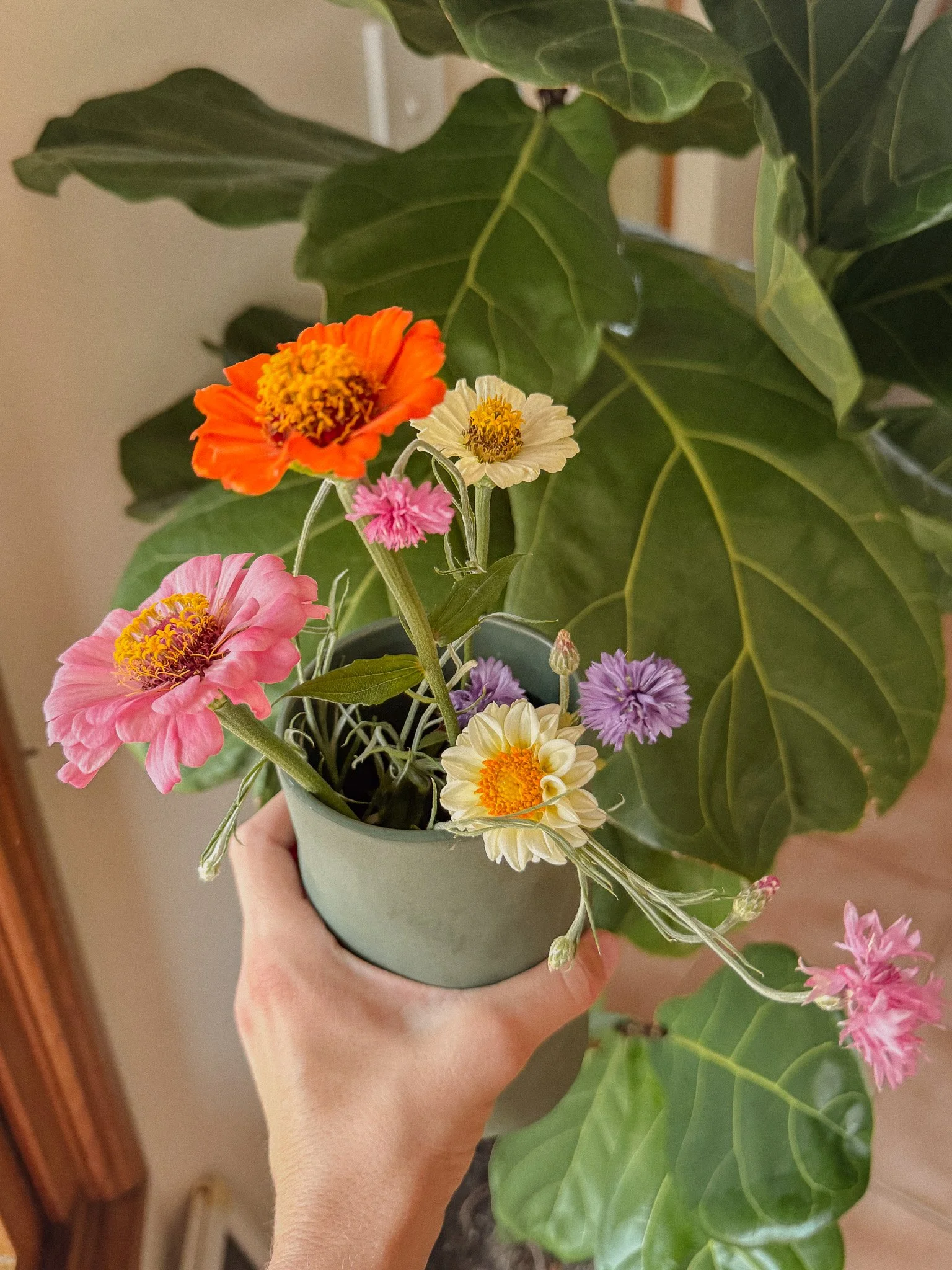 Growing Cut Flowers in Pots