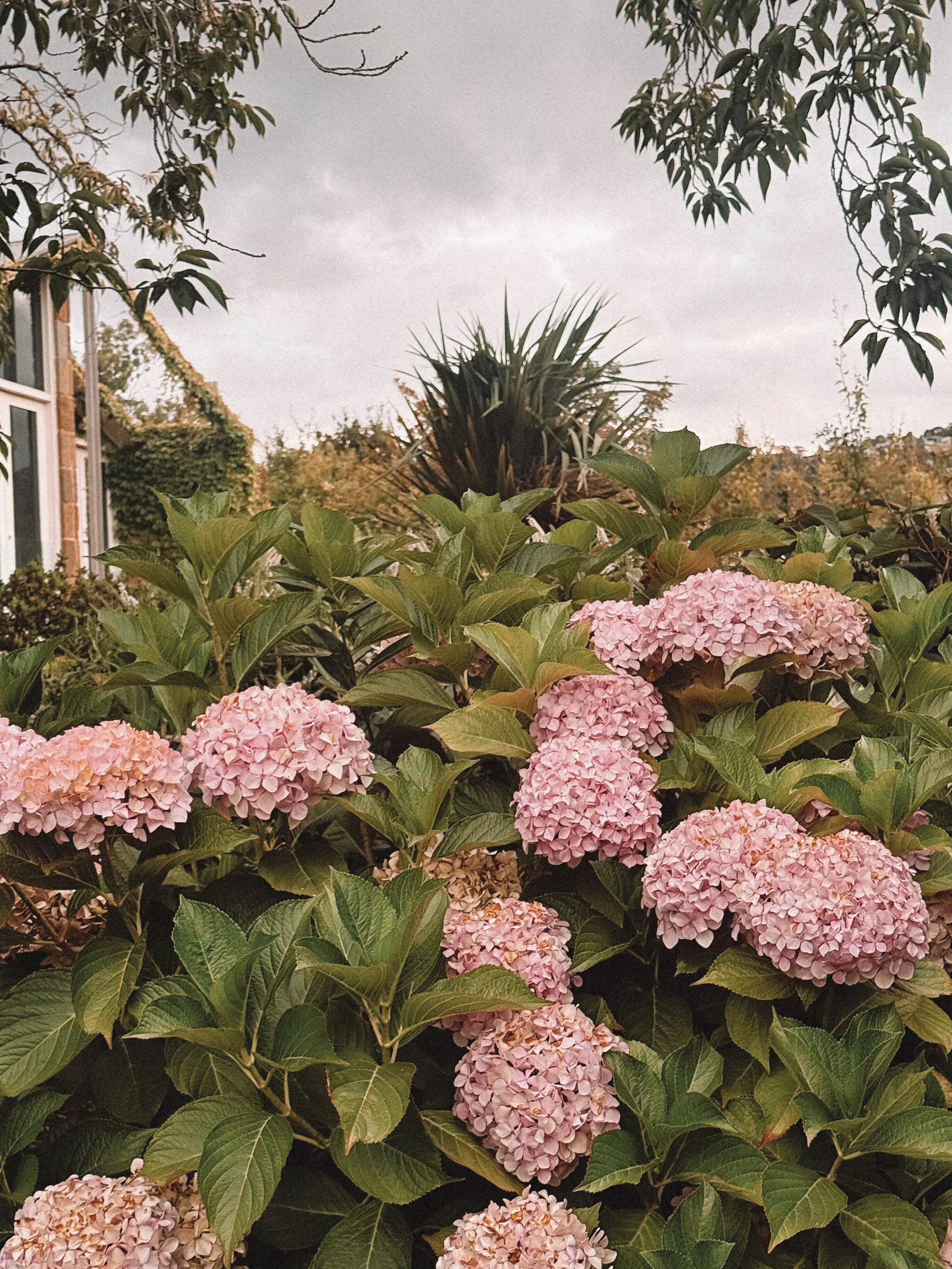 How to Nourish Your Feminine Energy. Expand gently with the waxing moon.