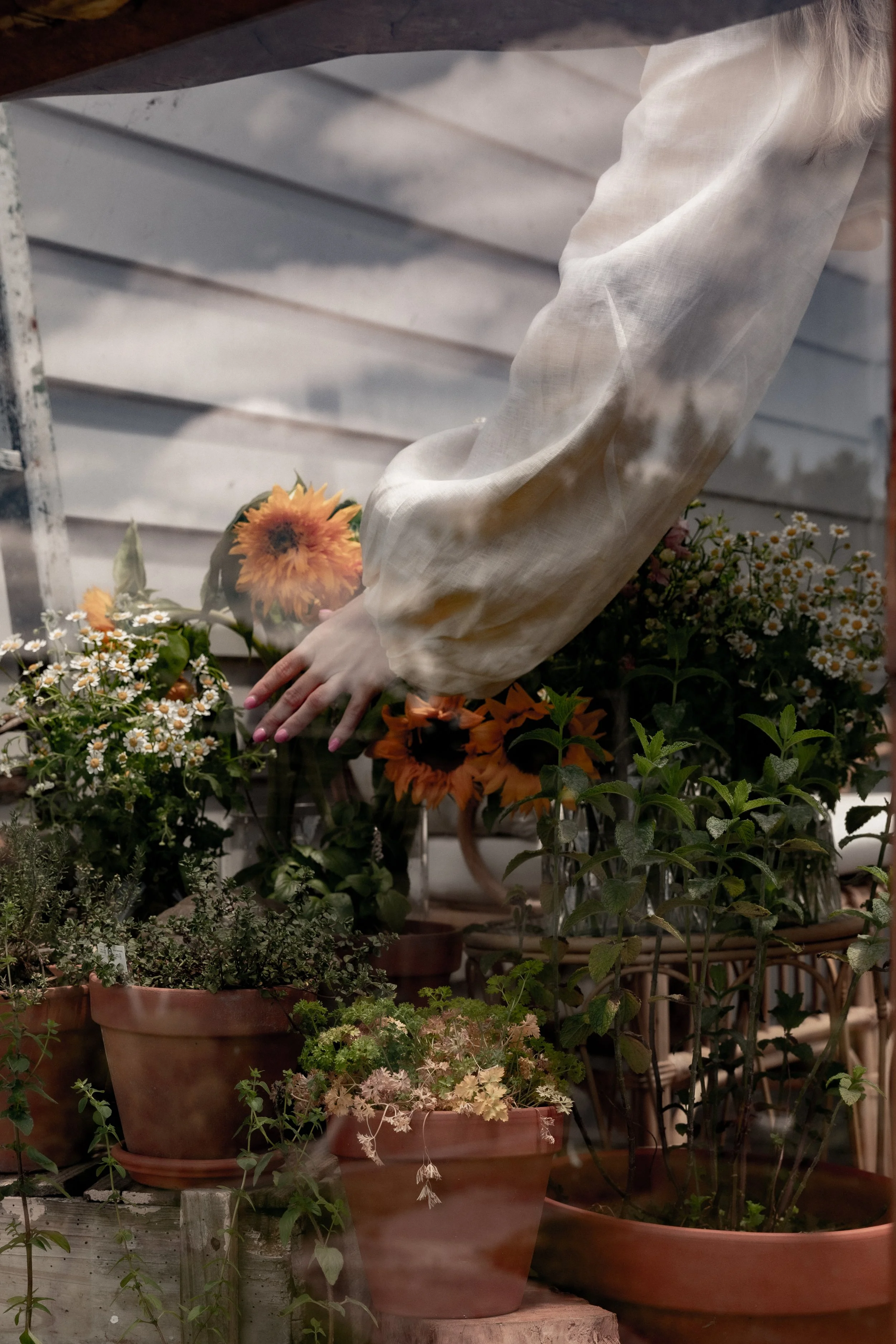 Cosy Cottage Garden Blog