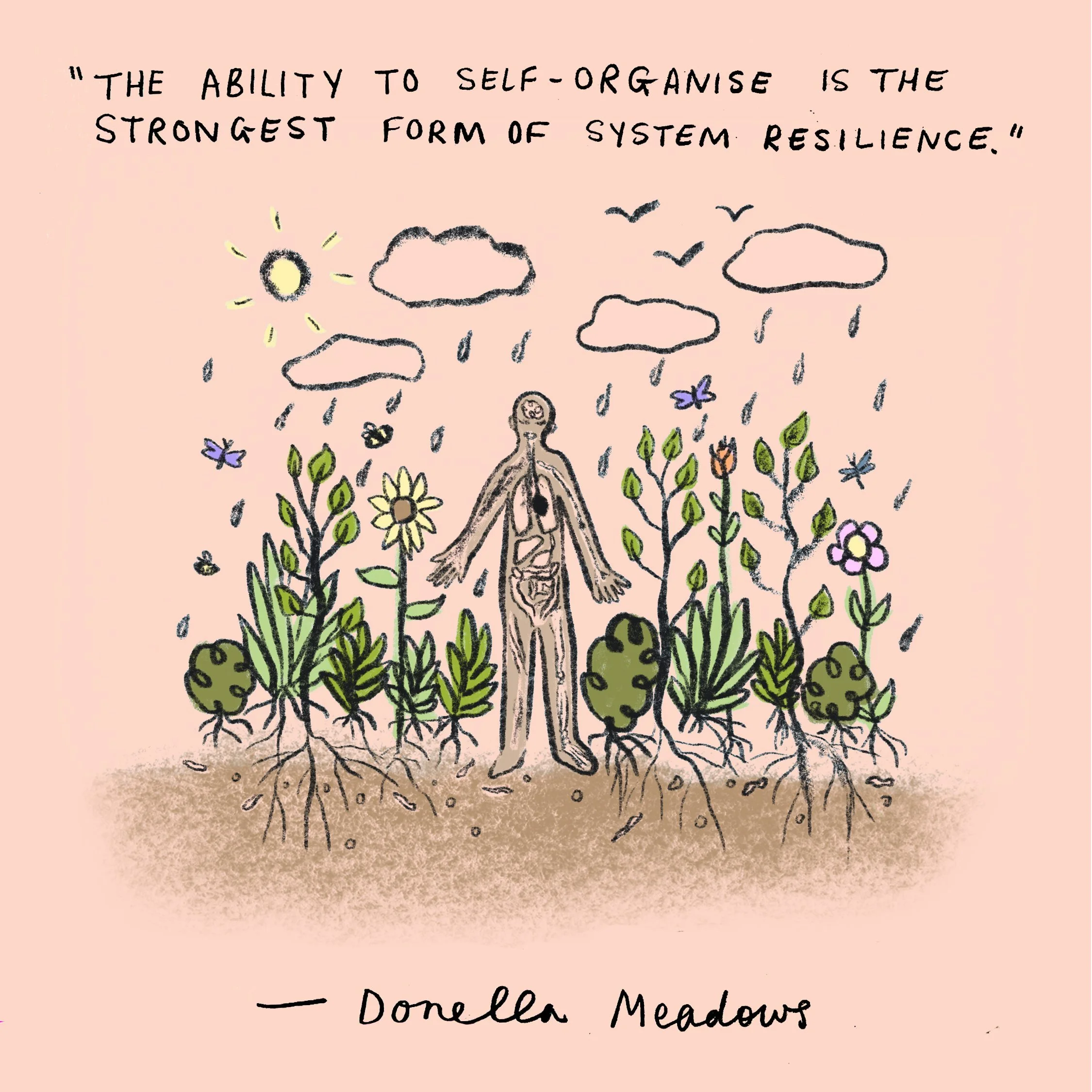 Health+Quote+Illustation+donella+meadows.jpg