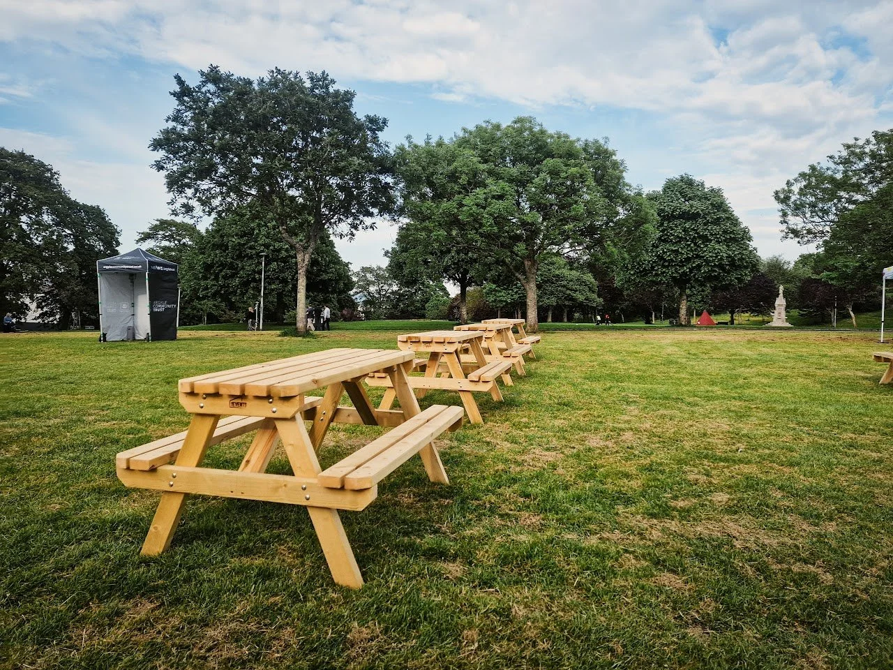 Multiple wooden picnic tables on a grassy park with trees and cloudy sky