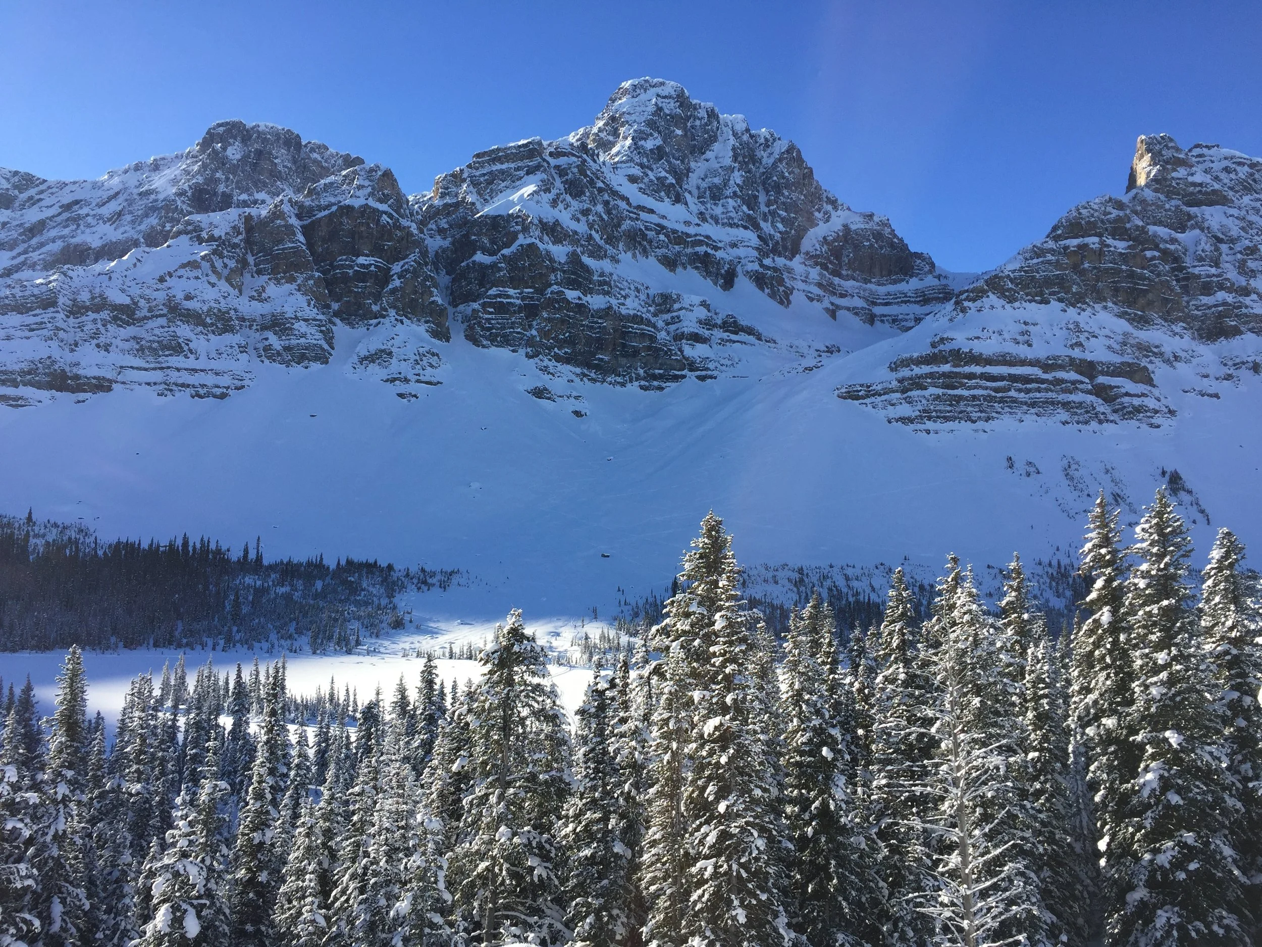 contact-us-glacier-accounting-ltd-st-albert-alberta