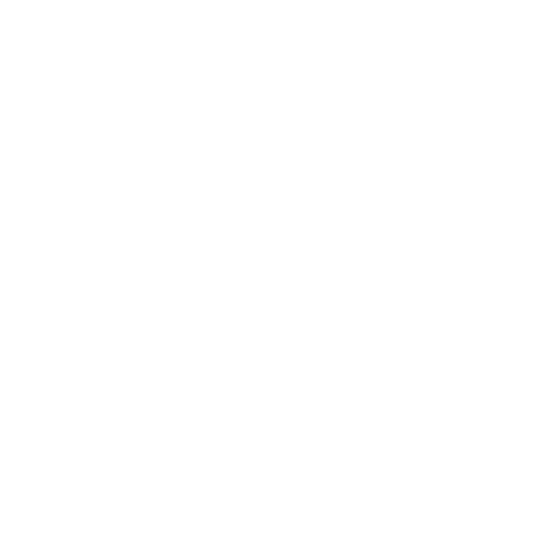 Fox Consulting Group