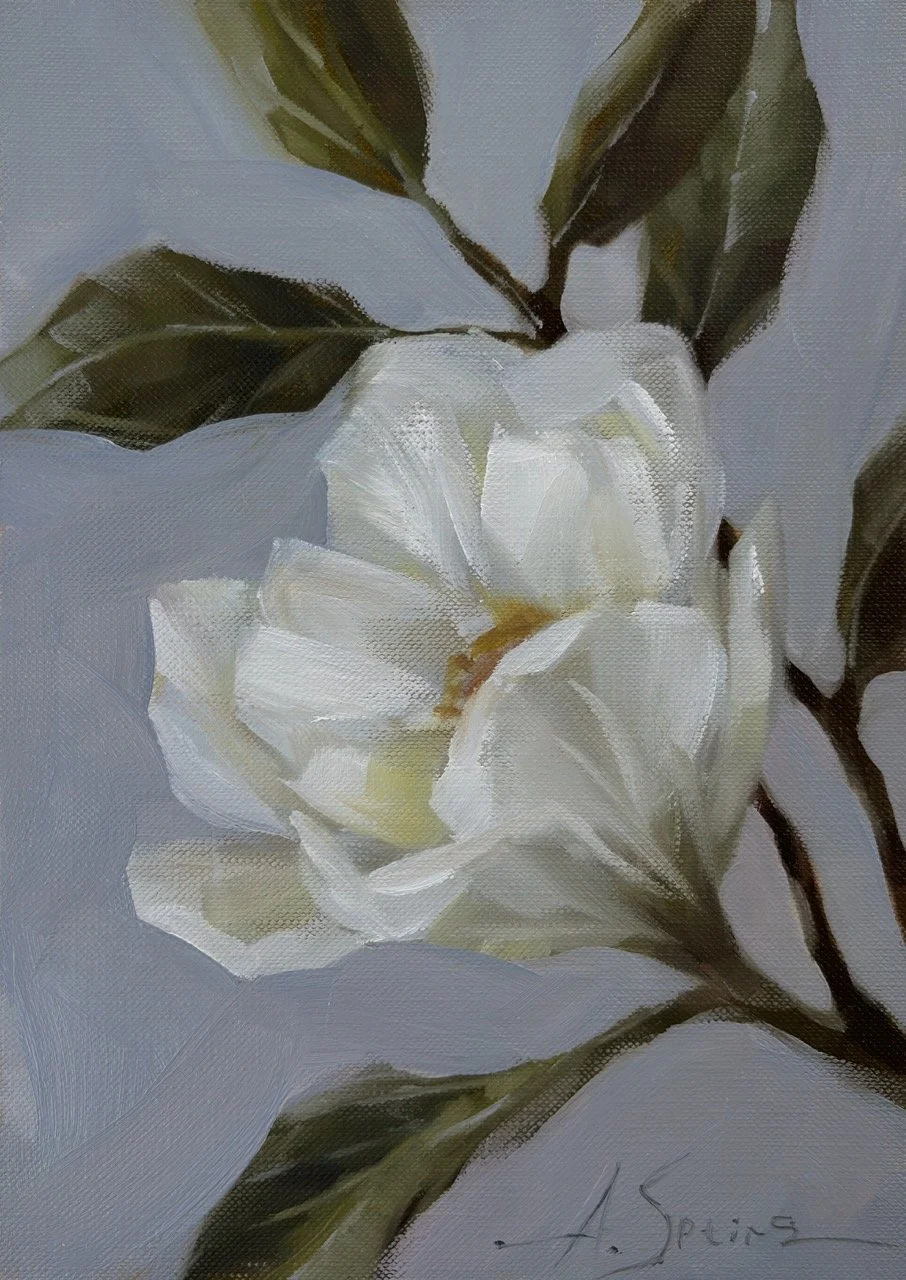 Speirs_Anna_magnolia - 1 (4) Large.jpeg