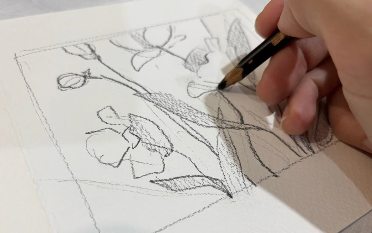A person sketching a drawing of roses on paper with a pencil.