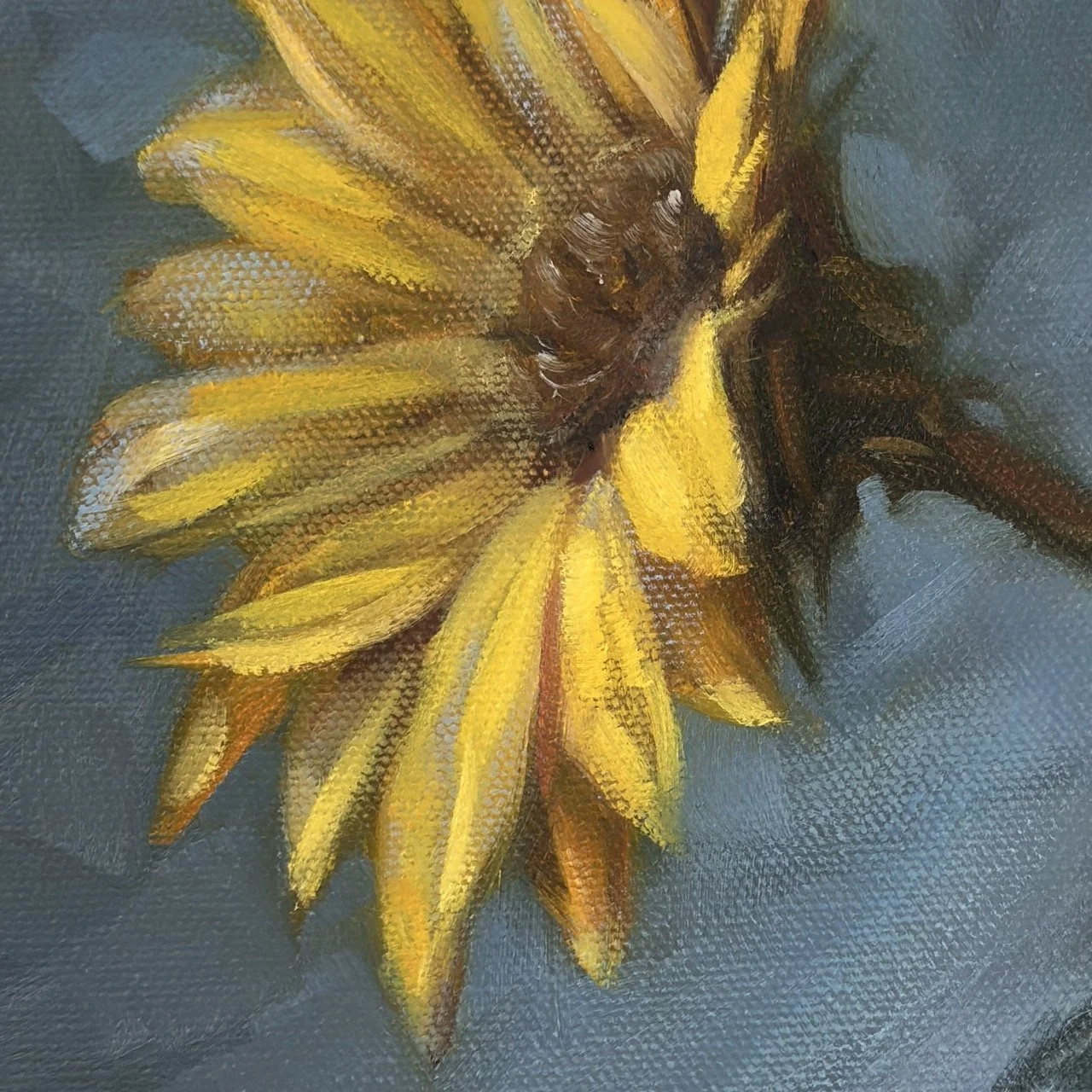 Speirs-Anna-oil-painting-Yellow-gerbera - 1 (5) Large.jpeg