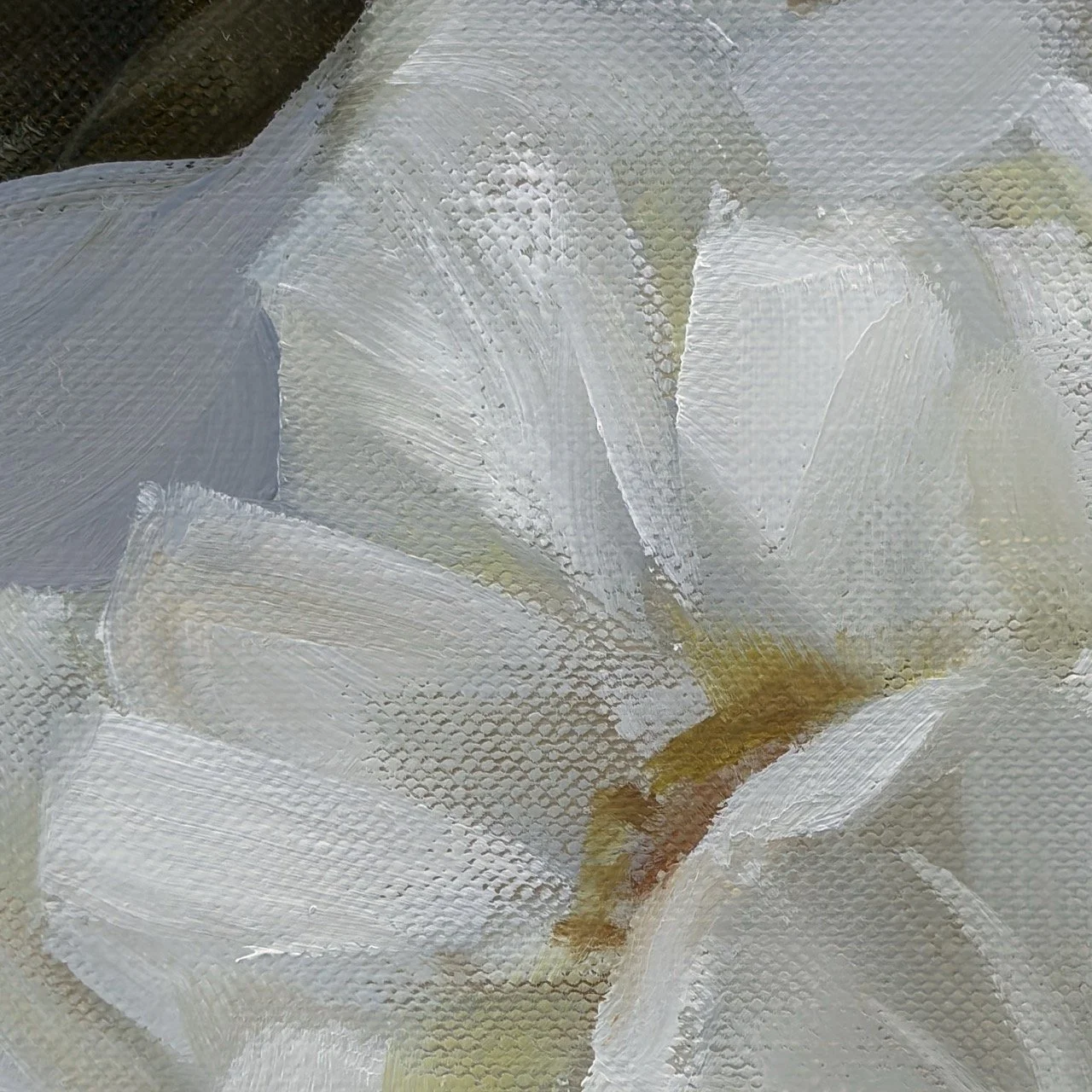 Speirs_Anna_magnolia - 1 (5) Large.jpeg