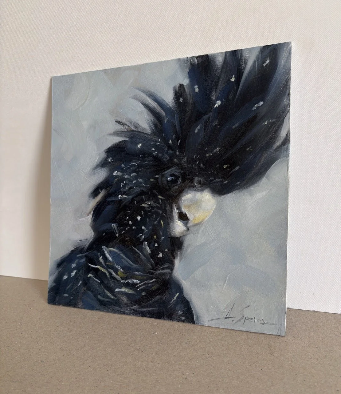 Speirs_Anna - Black Cockatoo  - 1 (2) Large.jpeg