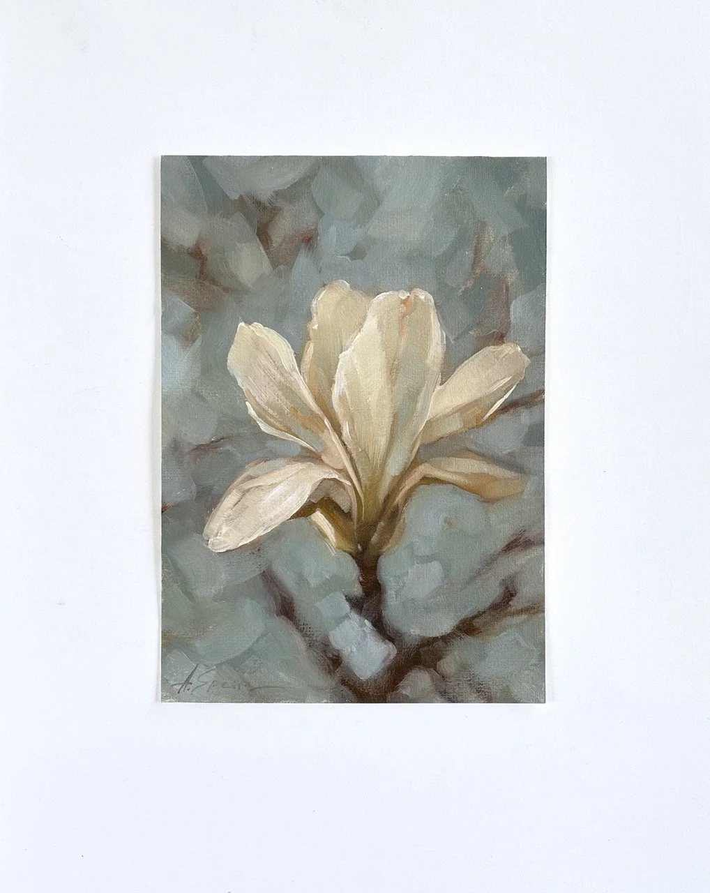 Speirs_Anna - White Magnolia - 1 Large.jpeg