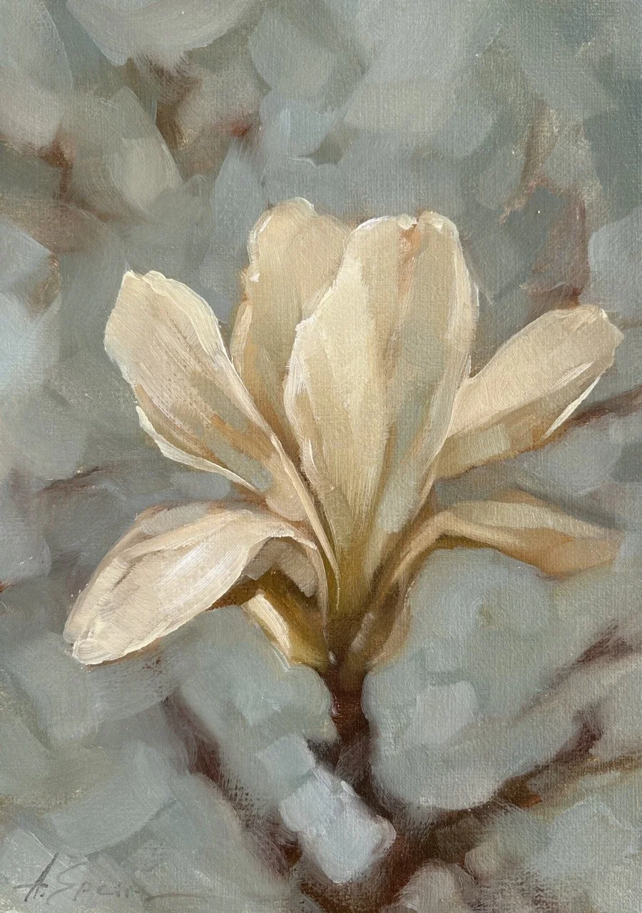 White Magnolia
