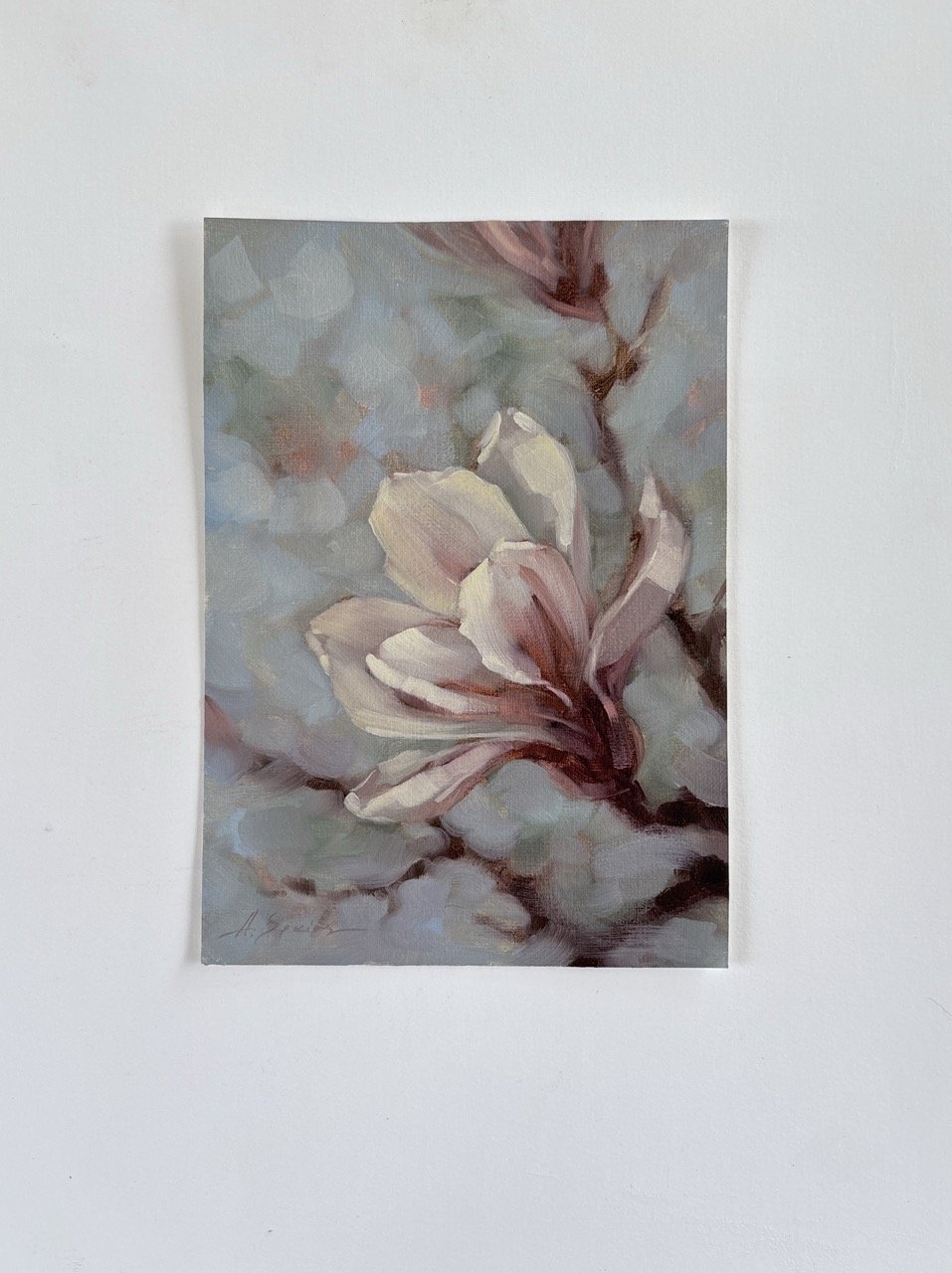 Speirs_Anna - Blush Magnolia - 1 (1) Large.jpeg