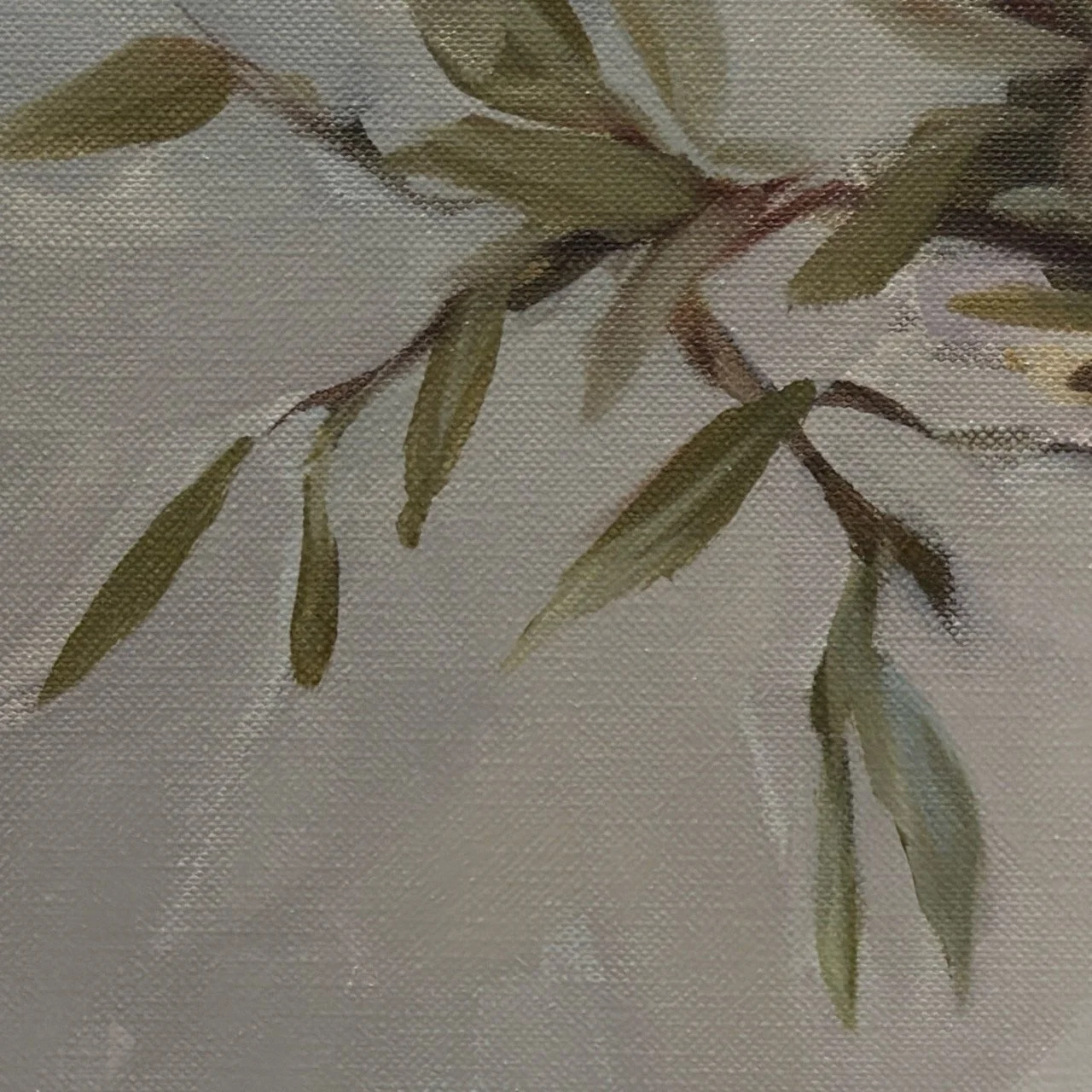 Speirs_Anna_	Still life with Avocado - 1 (3) Large.jpeg