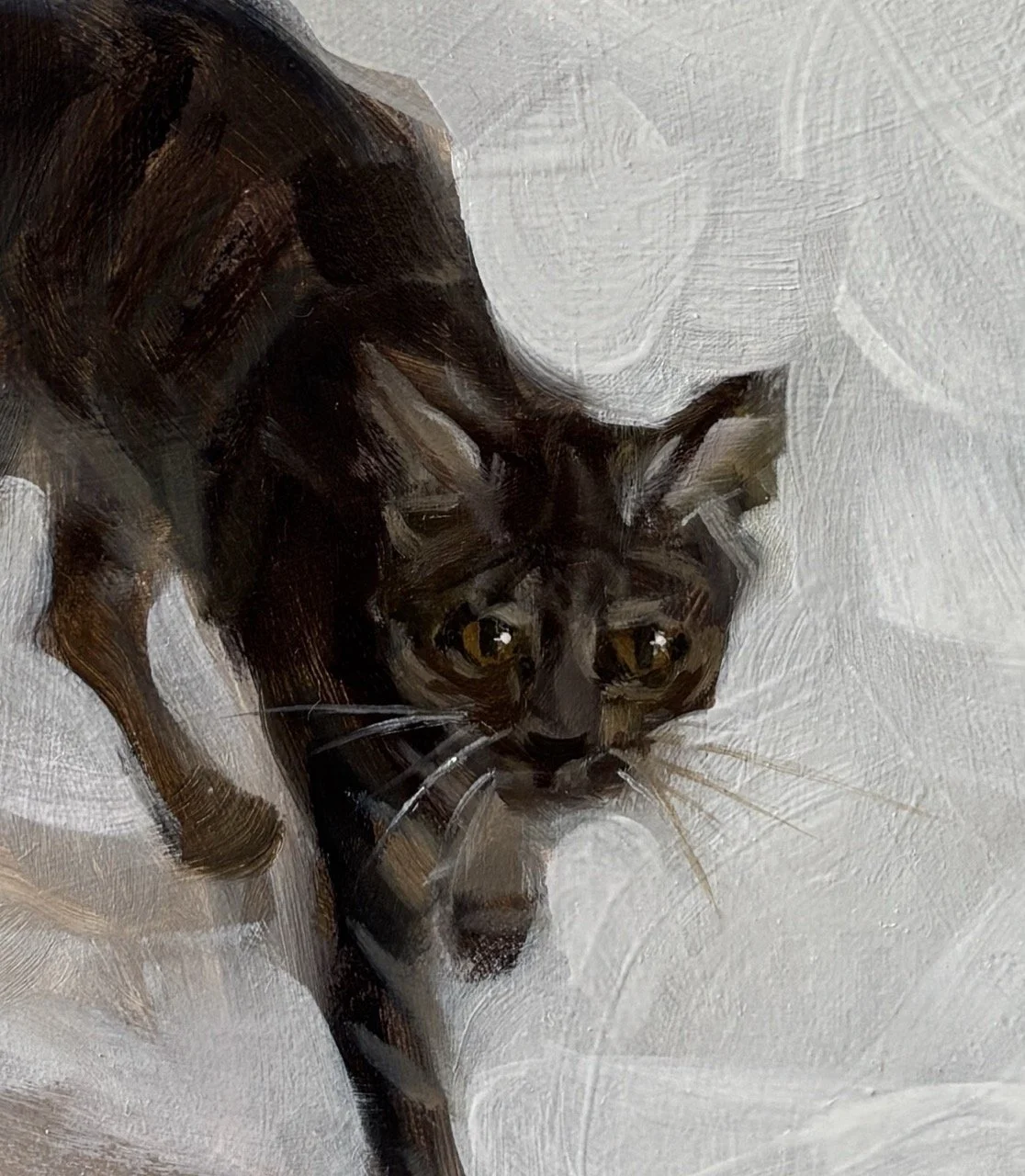 anna speirs long tail - 1 (3) Large.jpeg