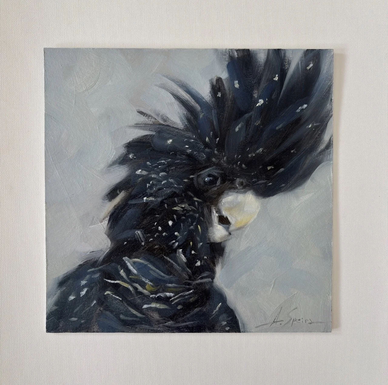 Speirs_Anna - Black Cockatoo  - 1 (1) Large.jpeg