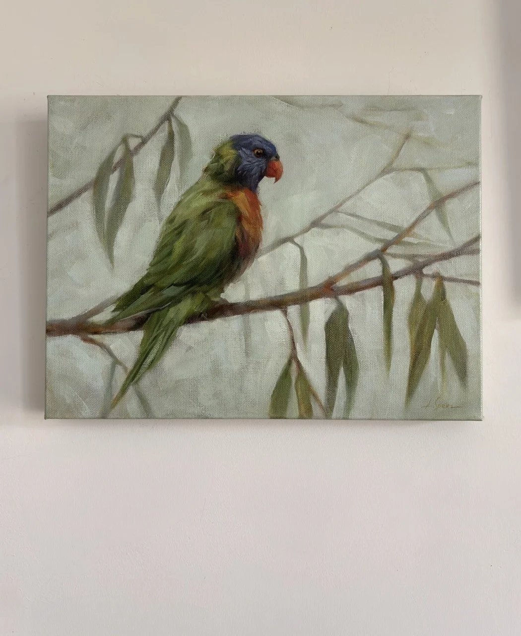 Speirs_Anna_ lorikeet - 1 Large.jpeg