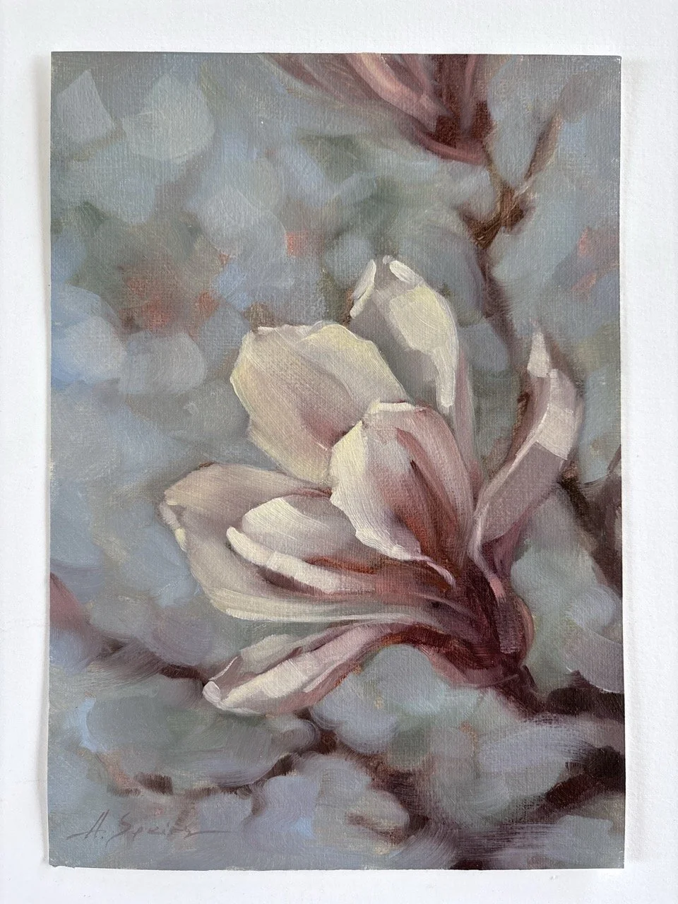 Speirs_Anna - Blush Magnolia - 1 Large.jpeg