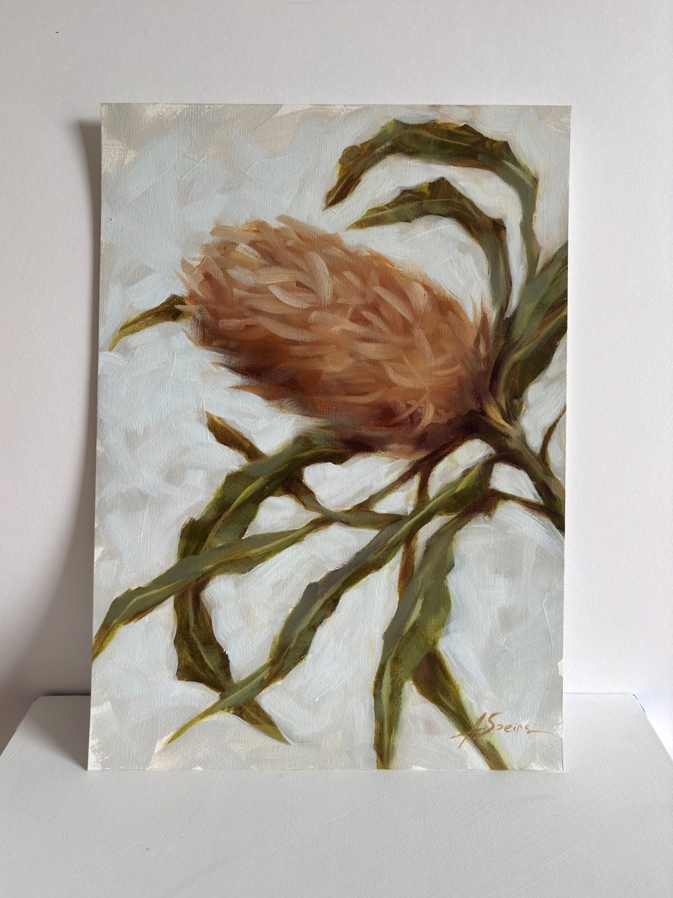 Speirs_Anna_Banksias in Bloom - 1 Large.jpeg