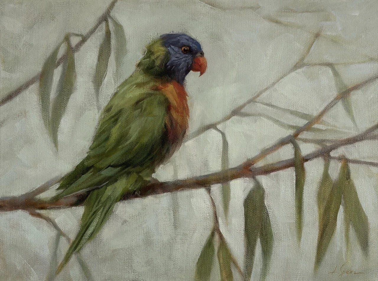 Speirs_Anna_ lorikeet - 1 (1) Large.jpeg
