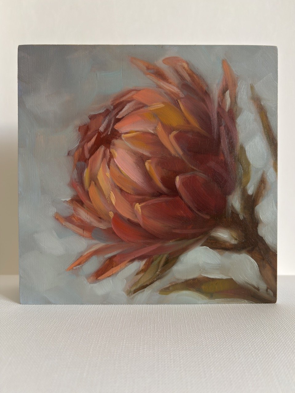 Anna Speirs _ protea  - 1 Large.jpeg