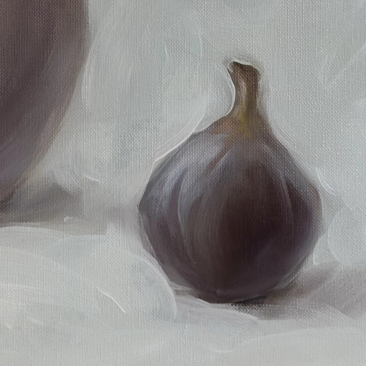 Anna Speirs - Banksia and fig - 1 (4) Large.jpeg