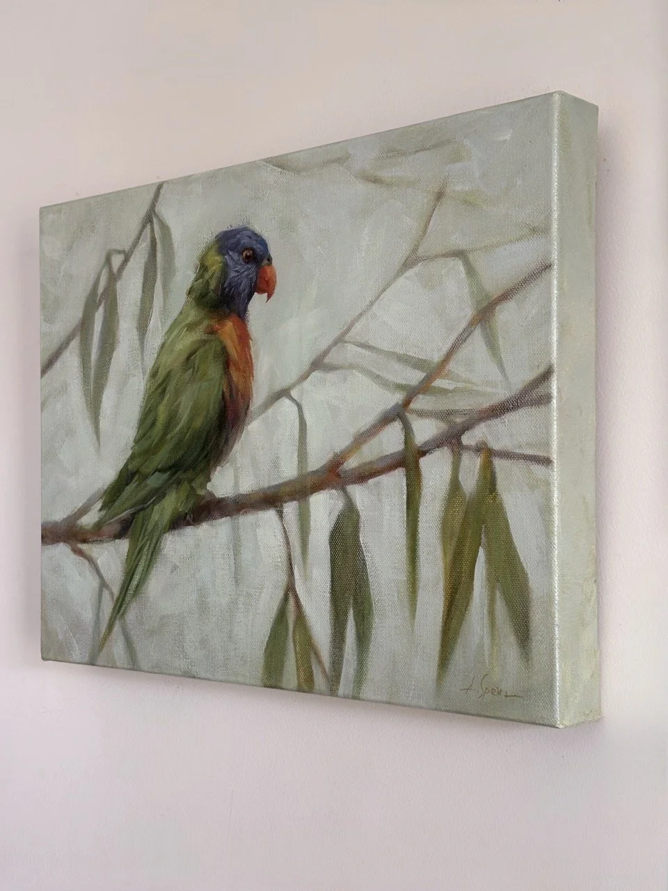 Speirs_Anna_ lorikeet - 1 (5) Large.jpeg