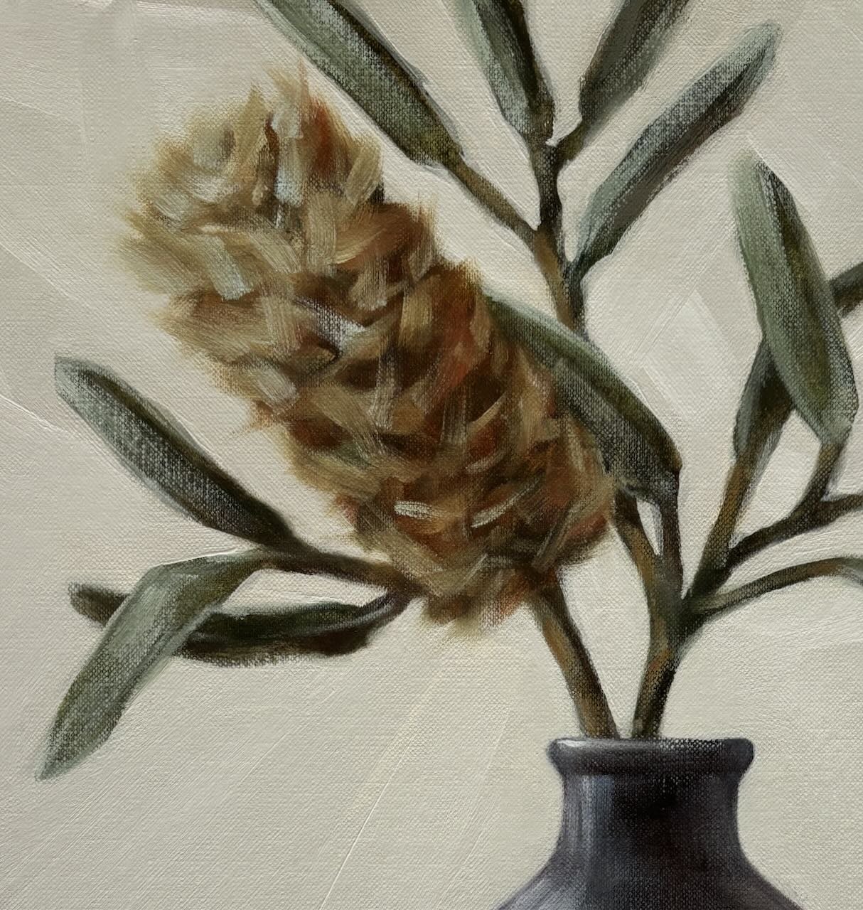 Speirs_Anna_Black vase and banksia - 1.jpeg