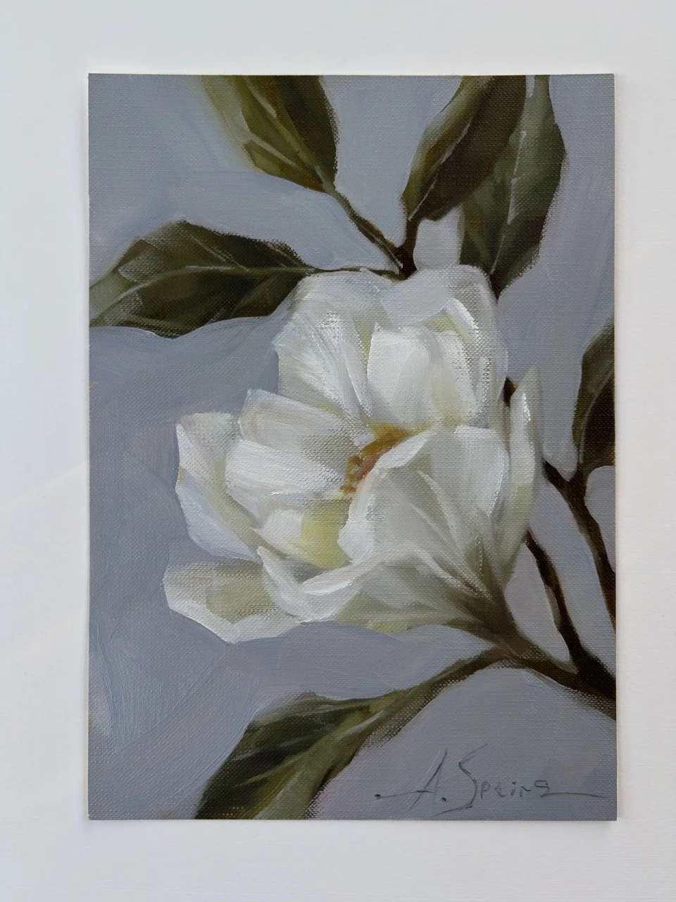 Speirs_Anna_magnolia - 1 (3) Large.jpeg