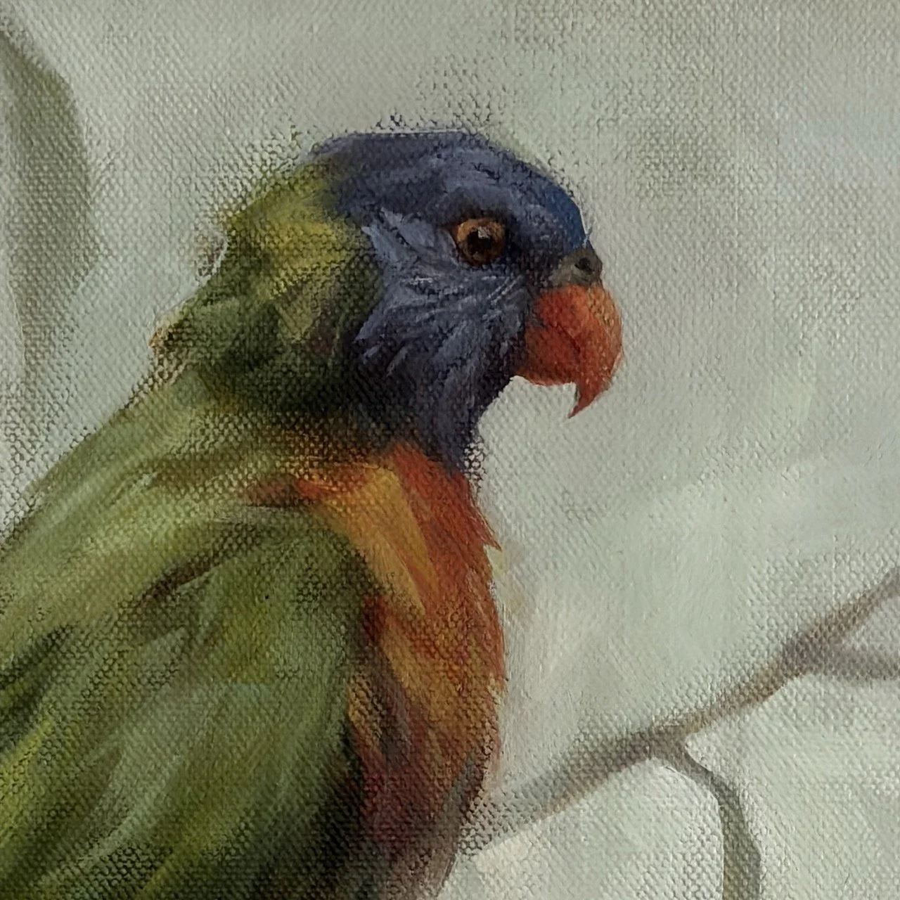 Speirs_Anna_ lorikeet - 1 (2) Large.jpeg