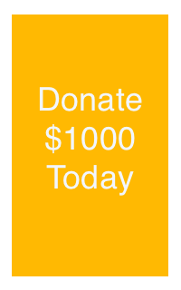 $1000 Today.png