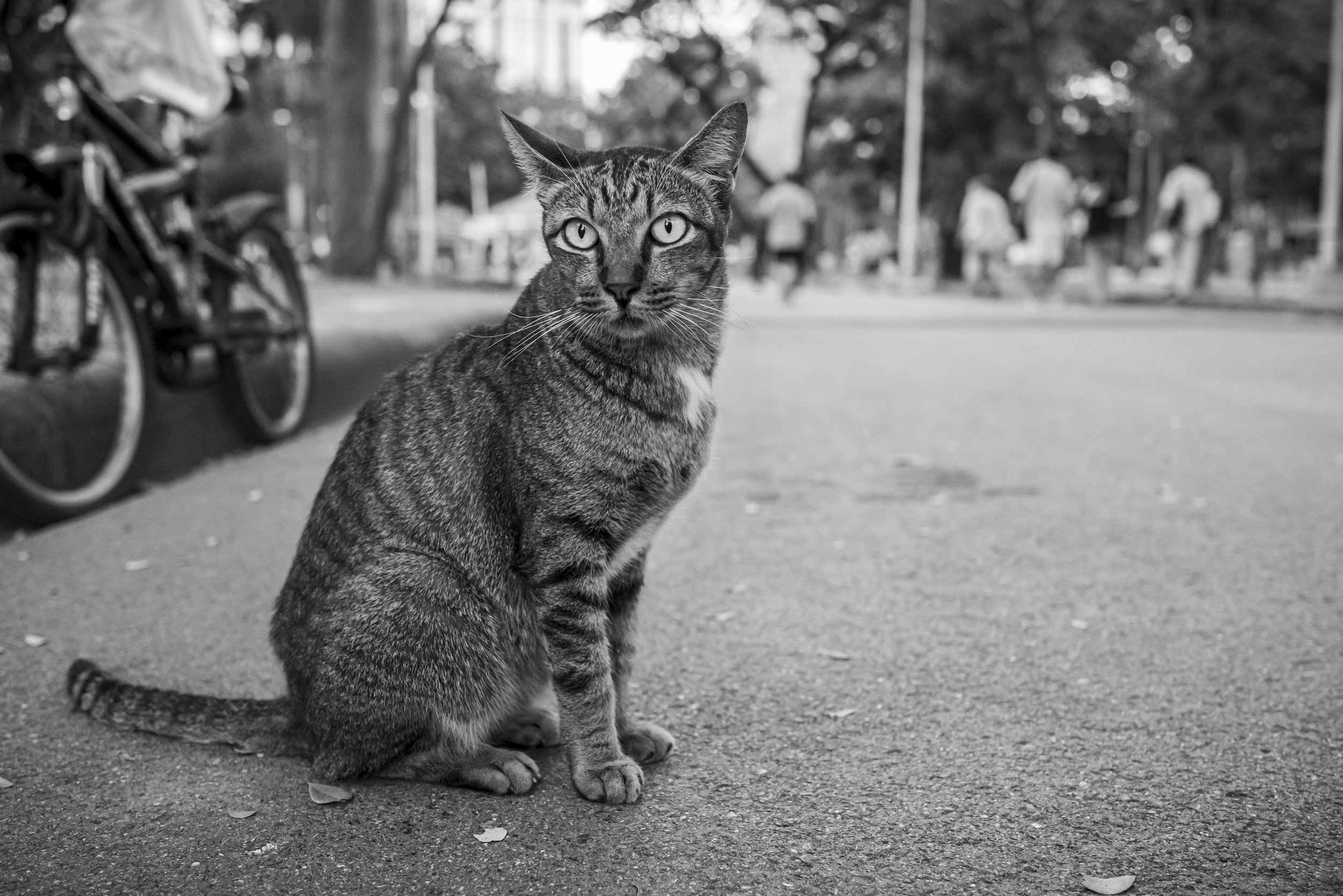 L1004675.jpg