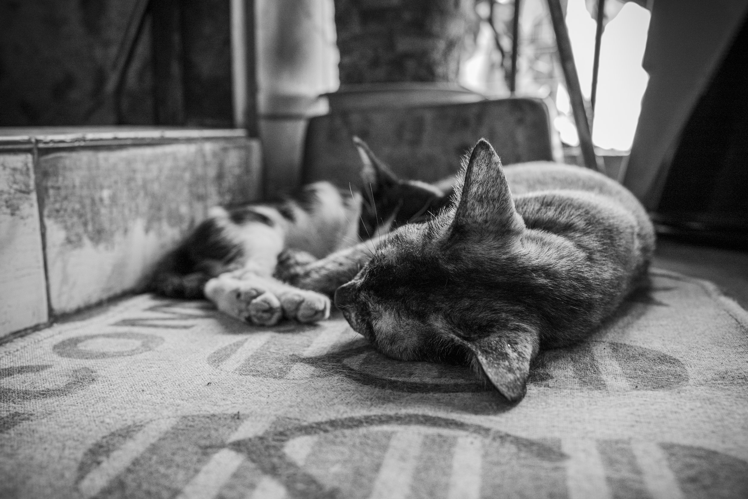 L1004602.jpg