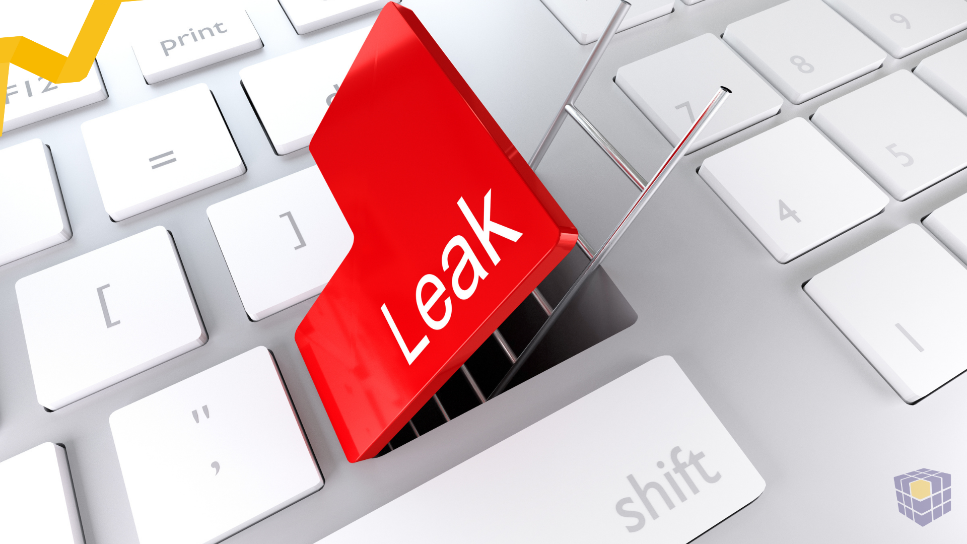 Het voorkomen van datalekken