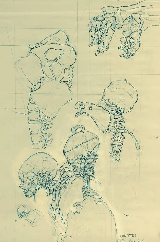 LifeDraw.jpg