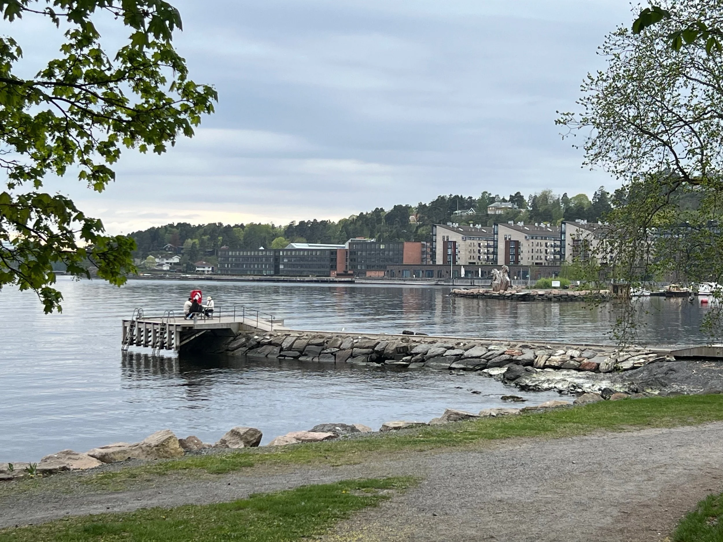 Vi foreslår å avvikle