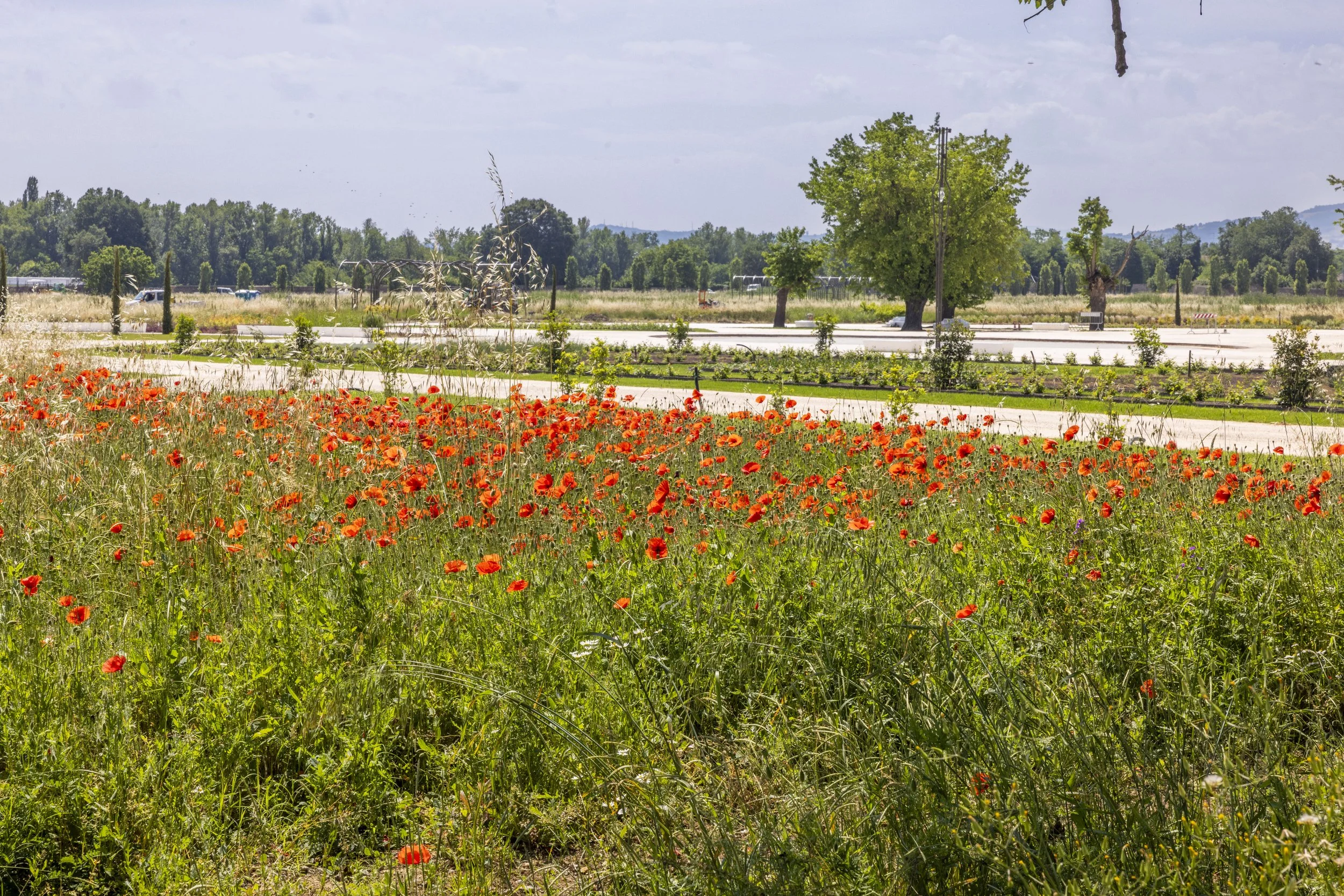 ReggiadiRivalta_parterre_1@BrunoCattani.jpg