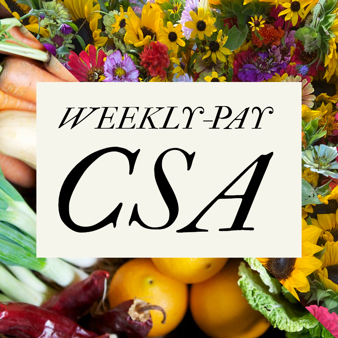 Weekly CSA Subscriptions in Athens, GA — Diamond Hill Farm