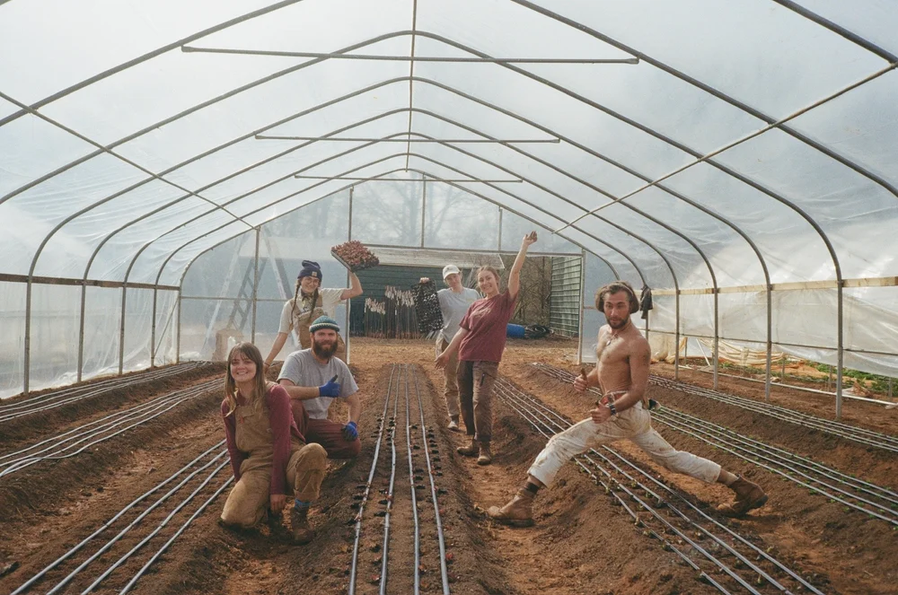   …..and then the crew planting it out!!  
