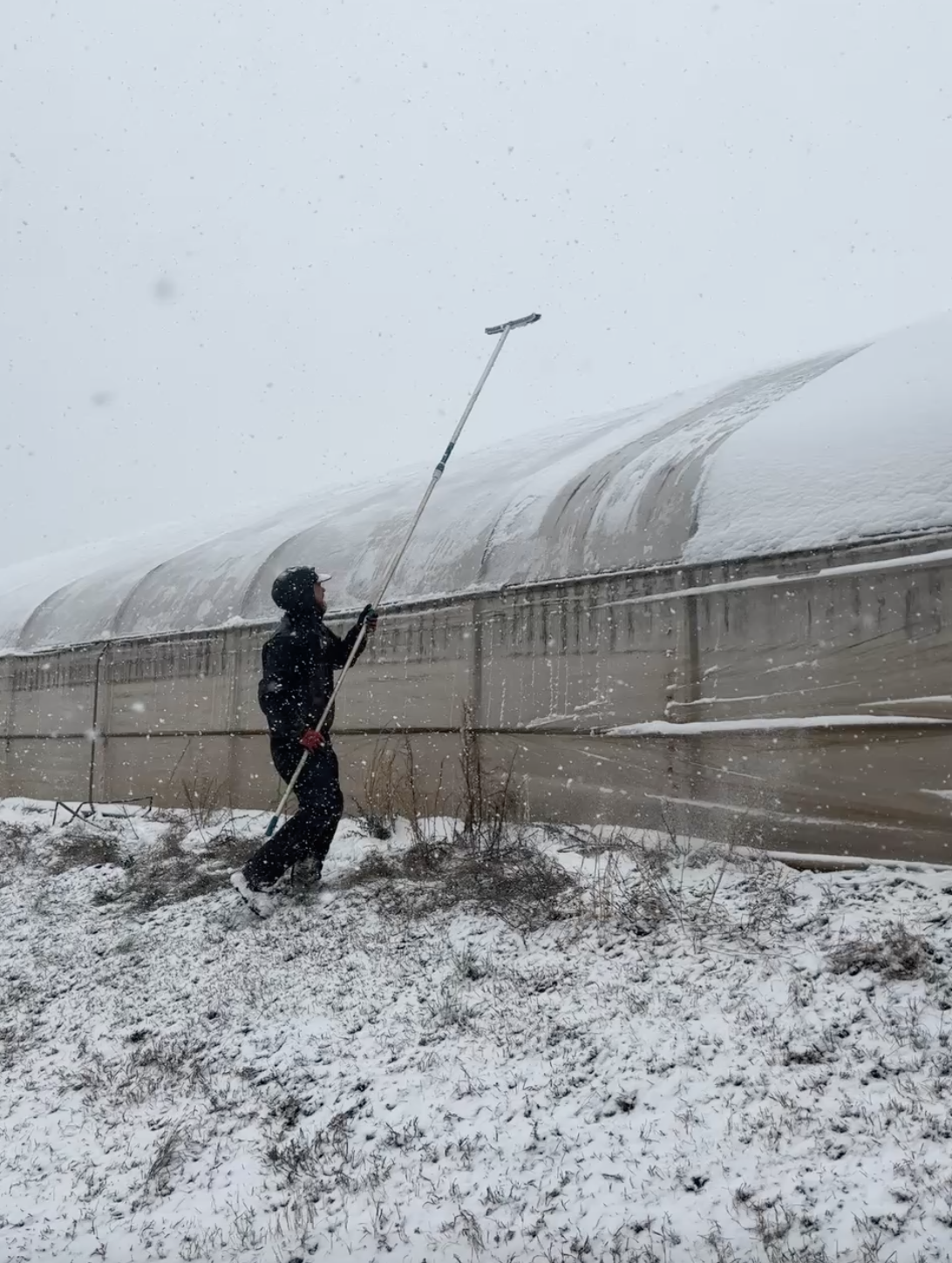 Screenshot 2026-02-01 at 9.11.04 AM.png