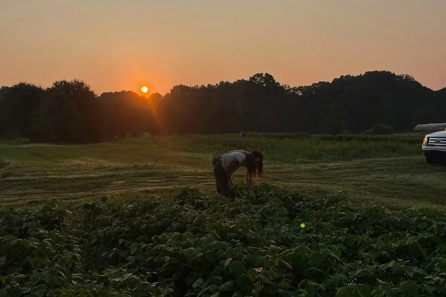 SM26 (WK13): Fall CSA Begins Next Week!
