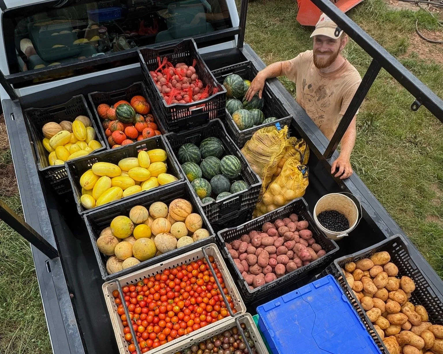 SM25 (W5): Every Day’s a Harvest