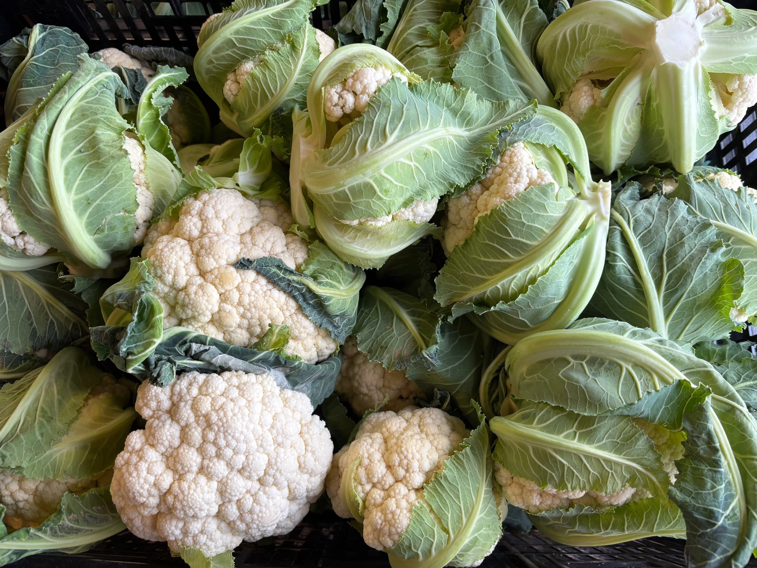 W26 (Wk1): Hittin’ the Ground Running