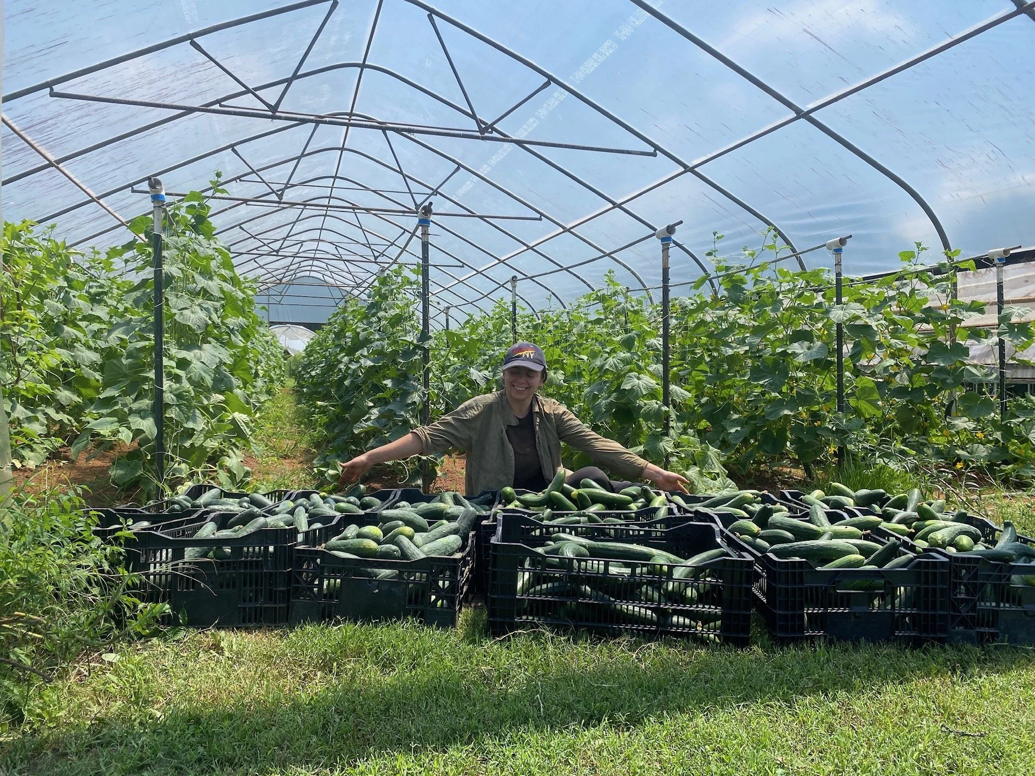 SM25 (W3): Diggin’ Taters & Picklin’ Cukes