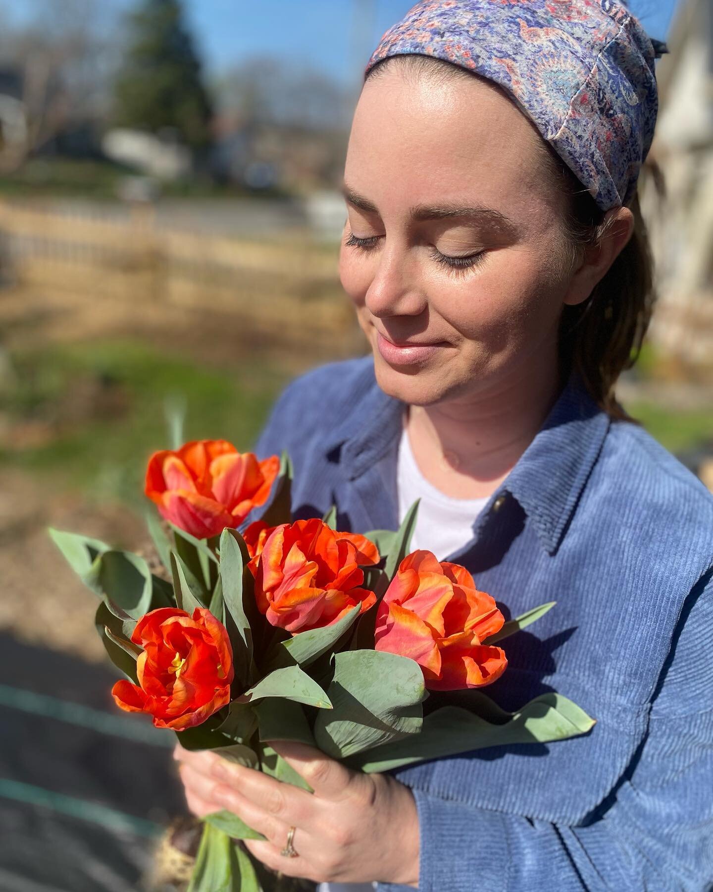 March update! Some tulips are popping (courtesy of a not-so-cold winter), seedlings are getting a taste of the outdoors, and we welcomed our newest additions 🐓I&rsquo;m not sure I&rsquo;ve ever been so excited for a spring!